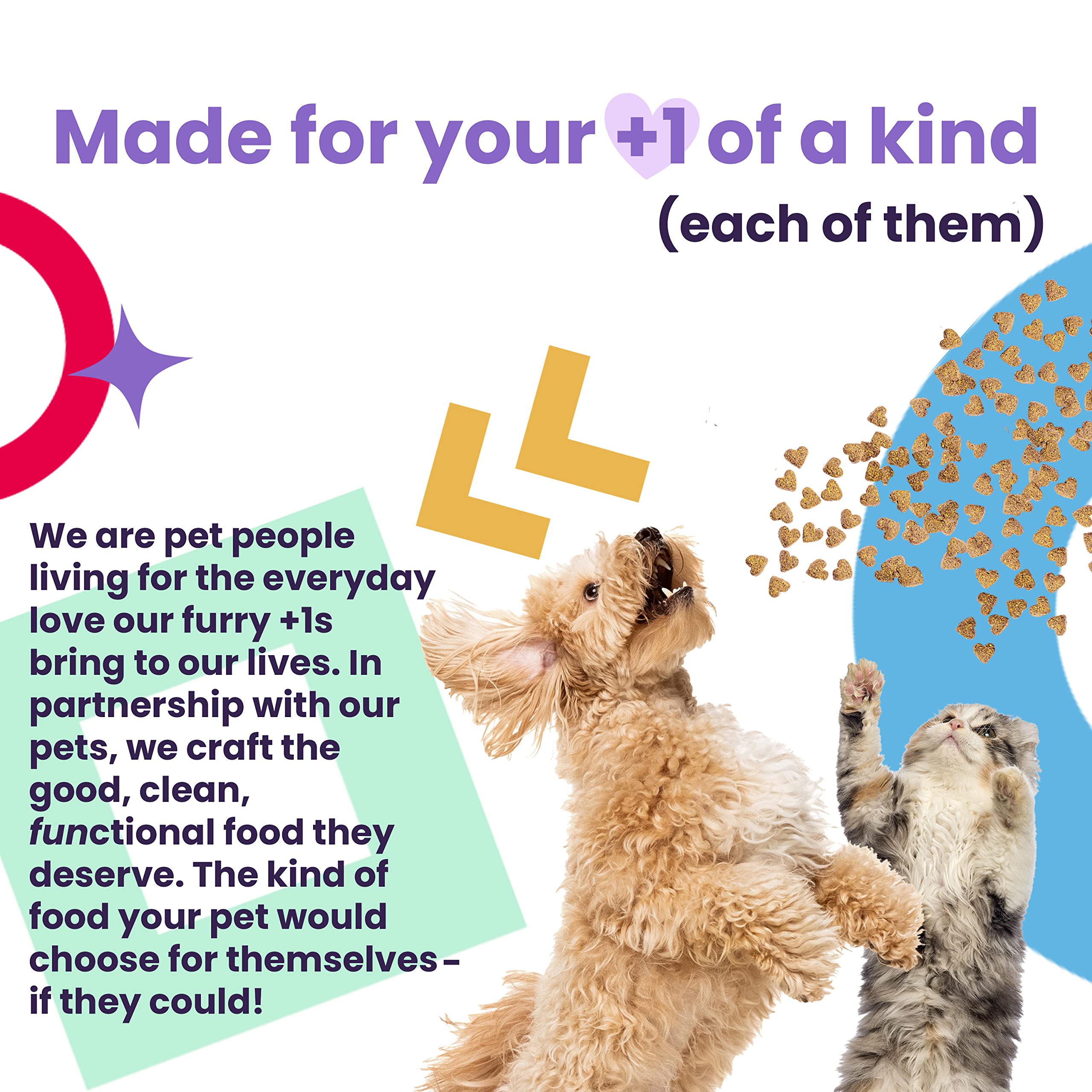 I AND LOVE AND YOU XOXOs Wet Cat Food - Chicken + Beef Pt   Variety Pack - Grain Free, Filler Free, 3oz Pack of 12 Cans