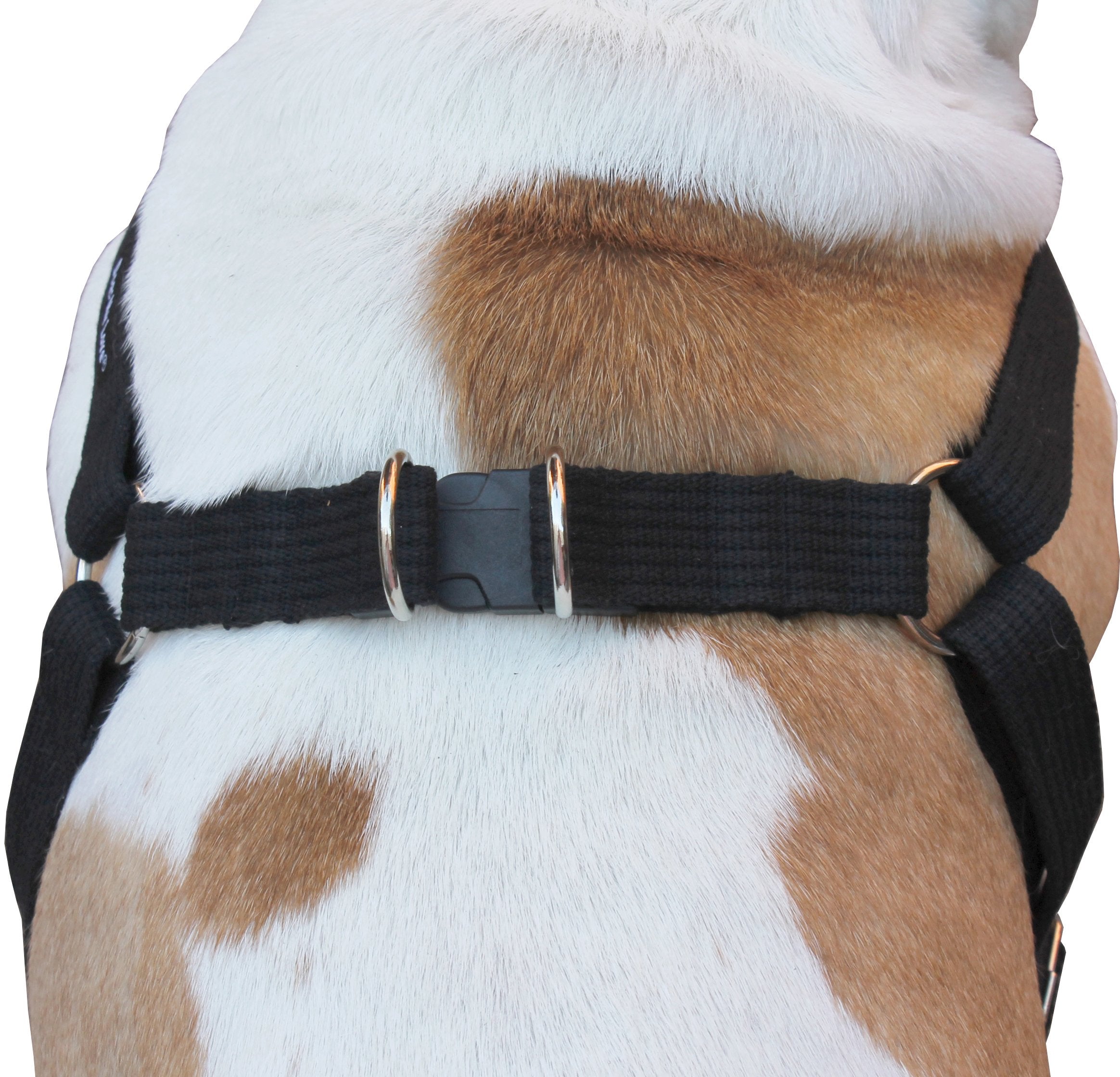 Cotton Web Adjustable Dog Step-In Harness 4 Sizes Black (Xlarge: 21'-37' Chest; 1.2' Wide)