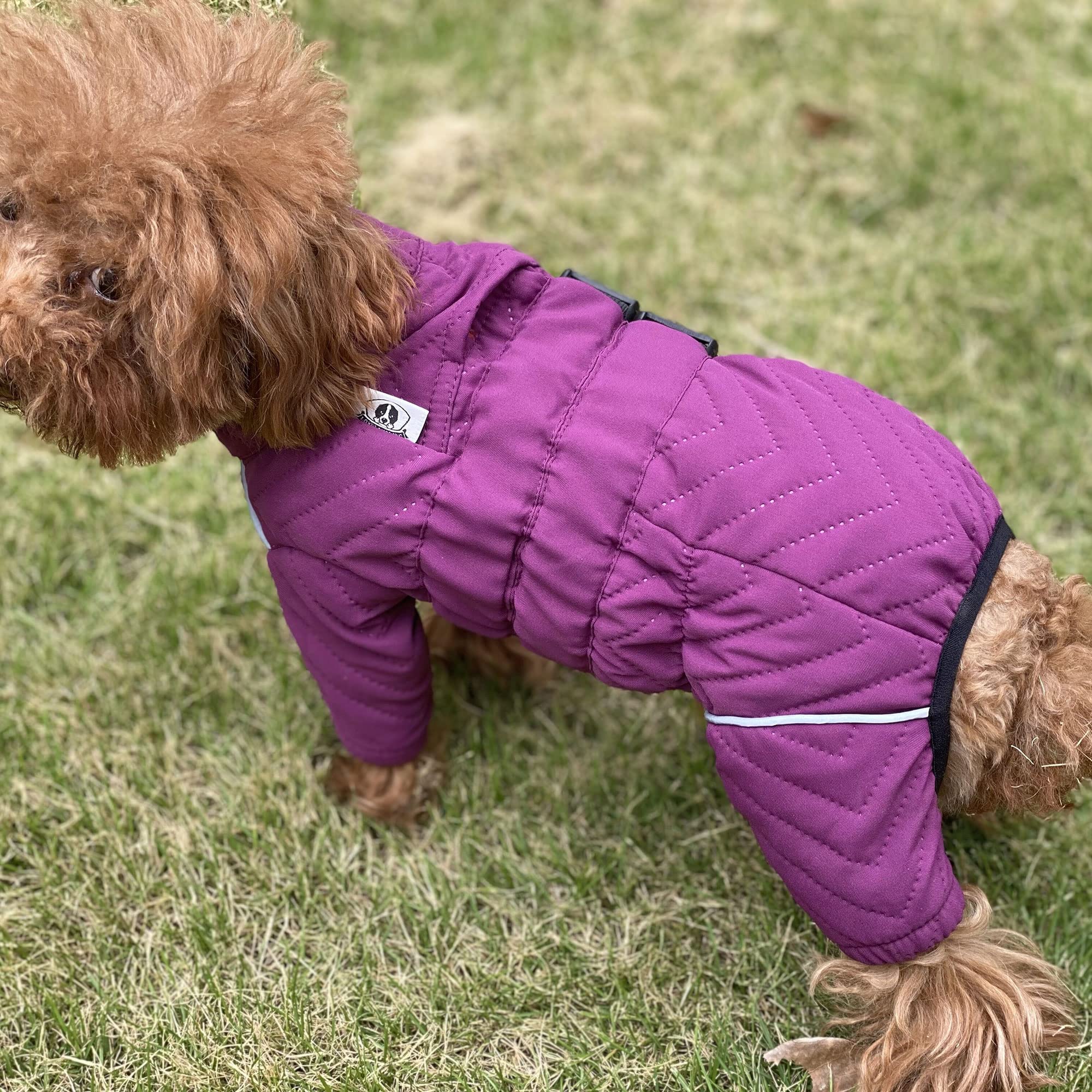 Warm Dog Coat Double Layers Dog Vest, 6 Legs Covered Windproof Waterproof Reflective Warm Dog Vest Outdoor Skating Dog Costume For Small Medium Large Dogs Purple S