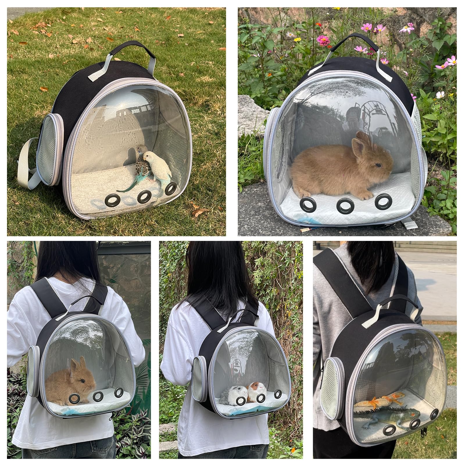 Hcupet Small Animal Carrier Backpack Space Capsule Bubble Window Carrier Backpack For Lizard Guinea Pig (Black)
