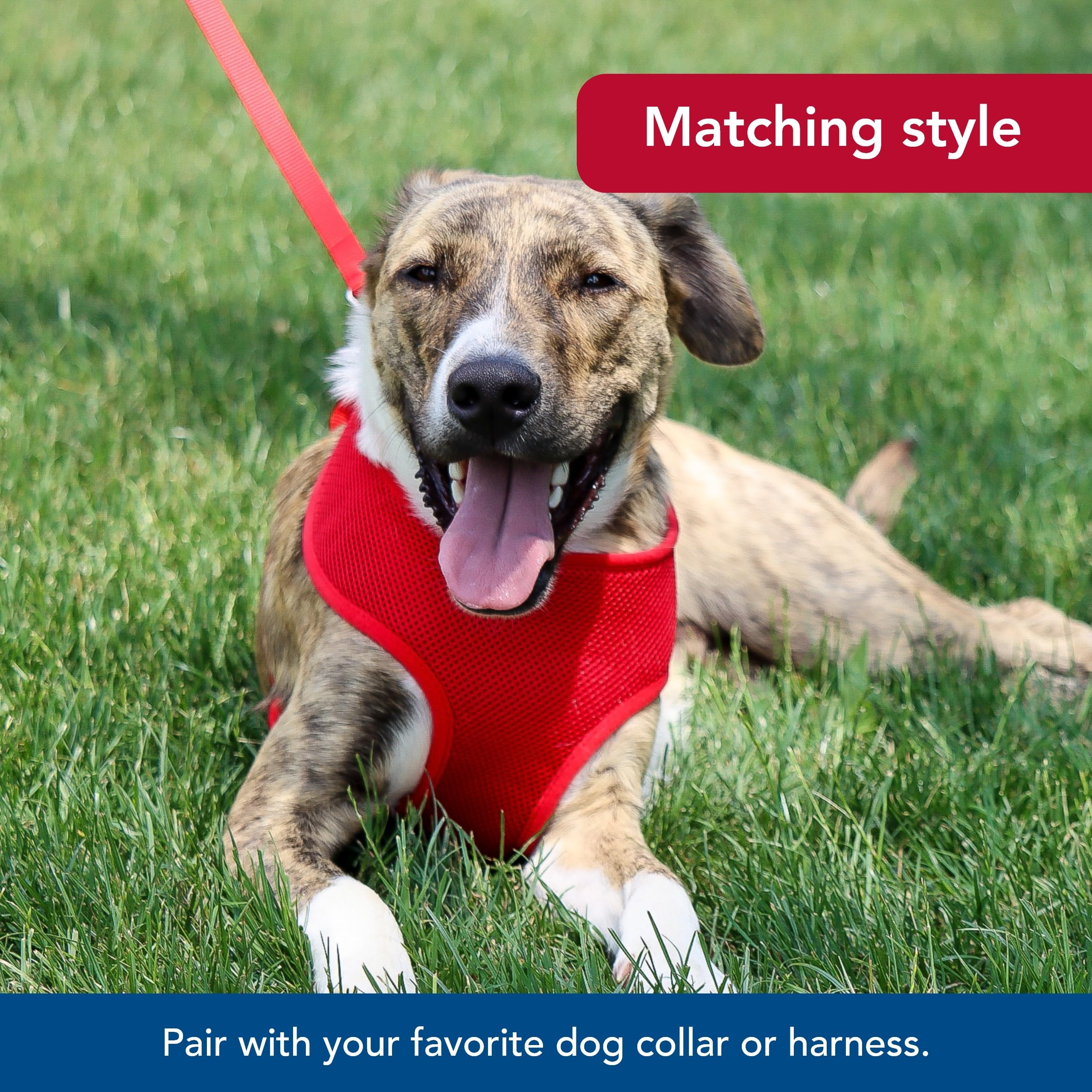 Coastal Pet Single-Ply Dog Leash - Sturdy Pet Leash - Comfortable & Stylish - Resists Fraying - Vibrant & Fade-Resistant Color - Pink Bright, 3/4' X 6'