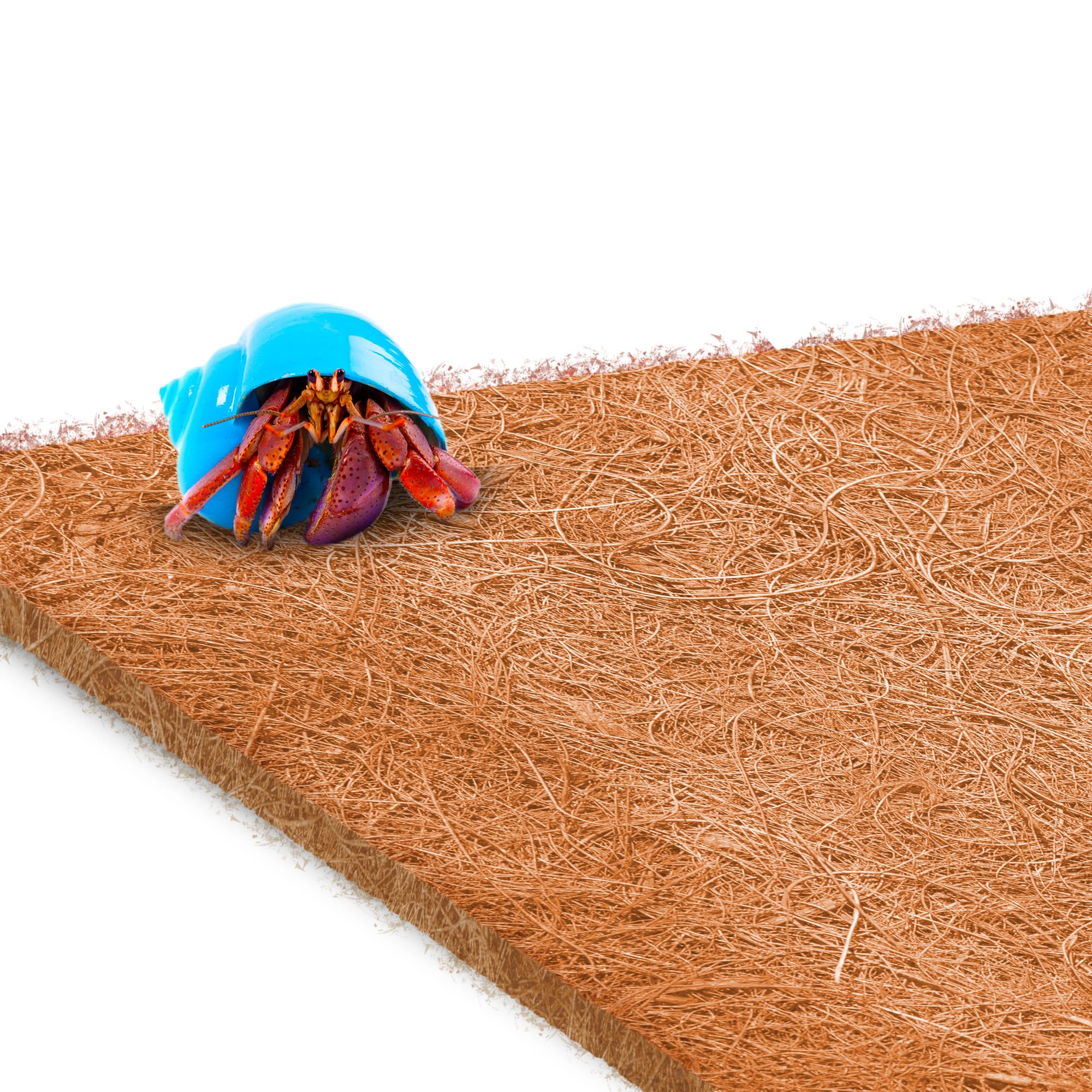 Sungrow Coco Fiber Hermit Crab & Reptile Carpet, Gecko Terrarium Liner, And Floor Bedding Substrate & Supplies, Climbing Wall Carpet & Mat For Hermit Crabs, 10' X 13', 1 Piece Per Pack