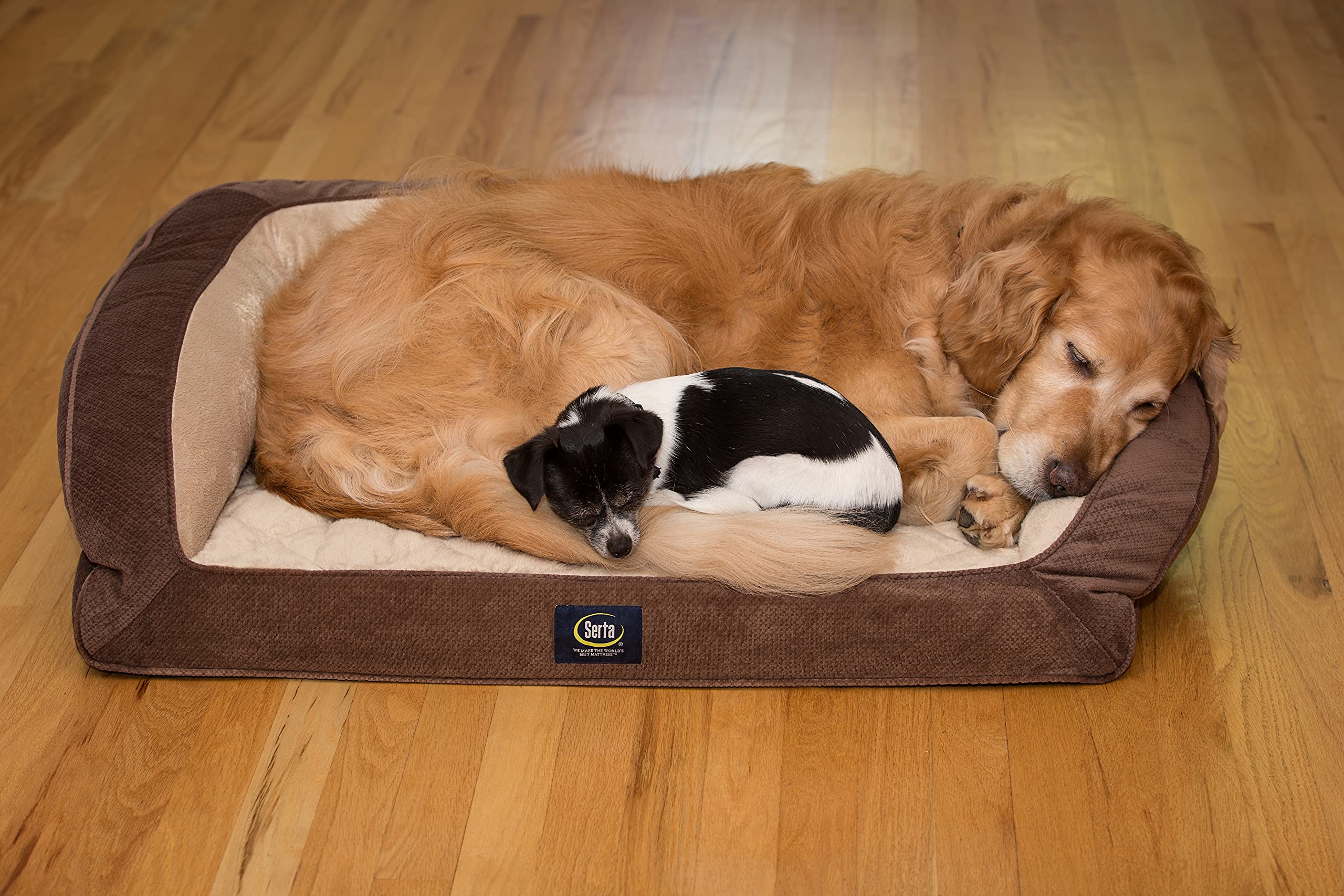 Serta Ortho Quilted Couch Pet Bed, Large, Mocha