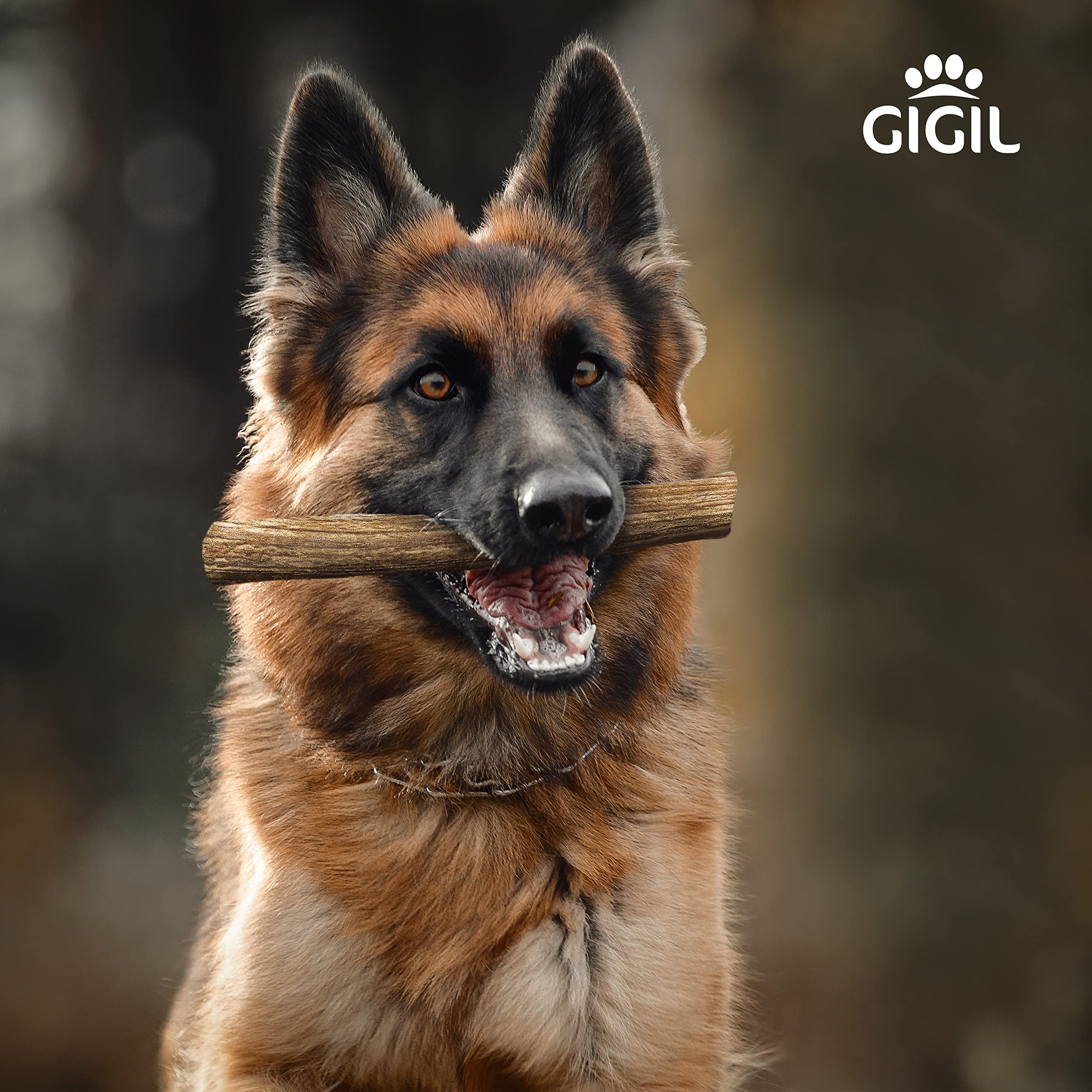 Gigil Treat You Pet Like A King - 100% Natural Deer Antlers For Large Dogs - Premium Elk Antlers - Long Lasting Dog Chew Toy - Naturally Shed And Organic Antlers For Dogs - Size Xl