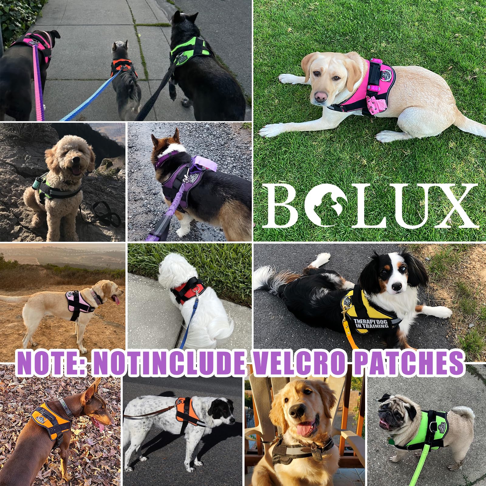 Bolux Dog Harness, No-Pull Reflective Dog Vest, Breathable Adjustable Pet Harness With Handle For Outdoor Walking - No More Pulling, Tugging Or Choking (Lavender, Large (Pack Of 1))