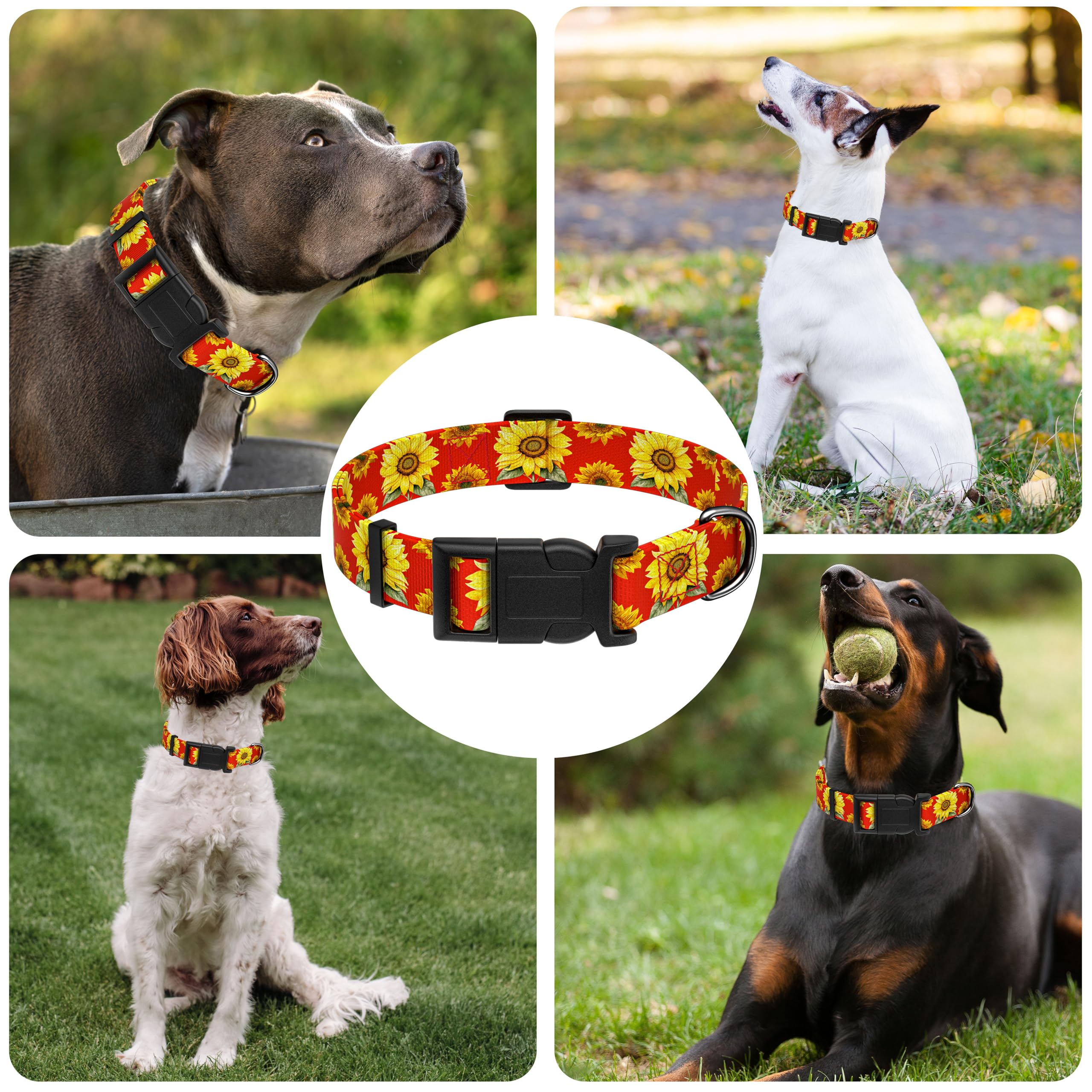 Seyezo Dog Collar, Floral Boys Girls Collar, Adjustable Soft Collar With Safety Buckle For Small Medium Large Dogs (Red, Xs)