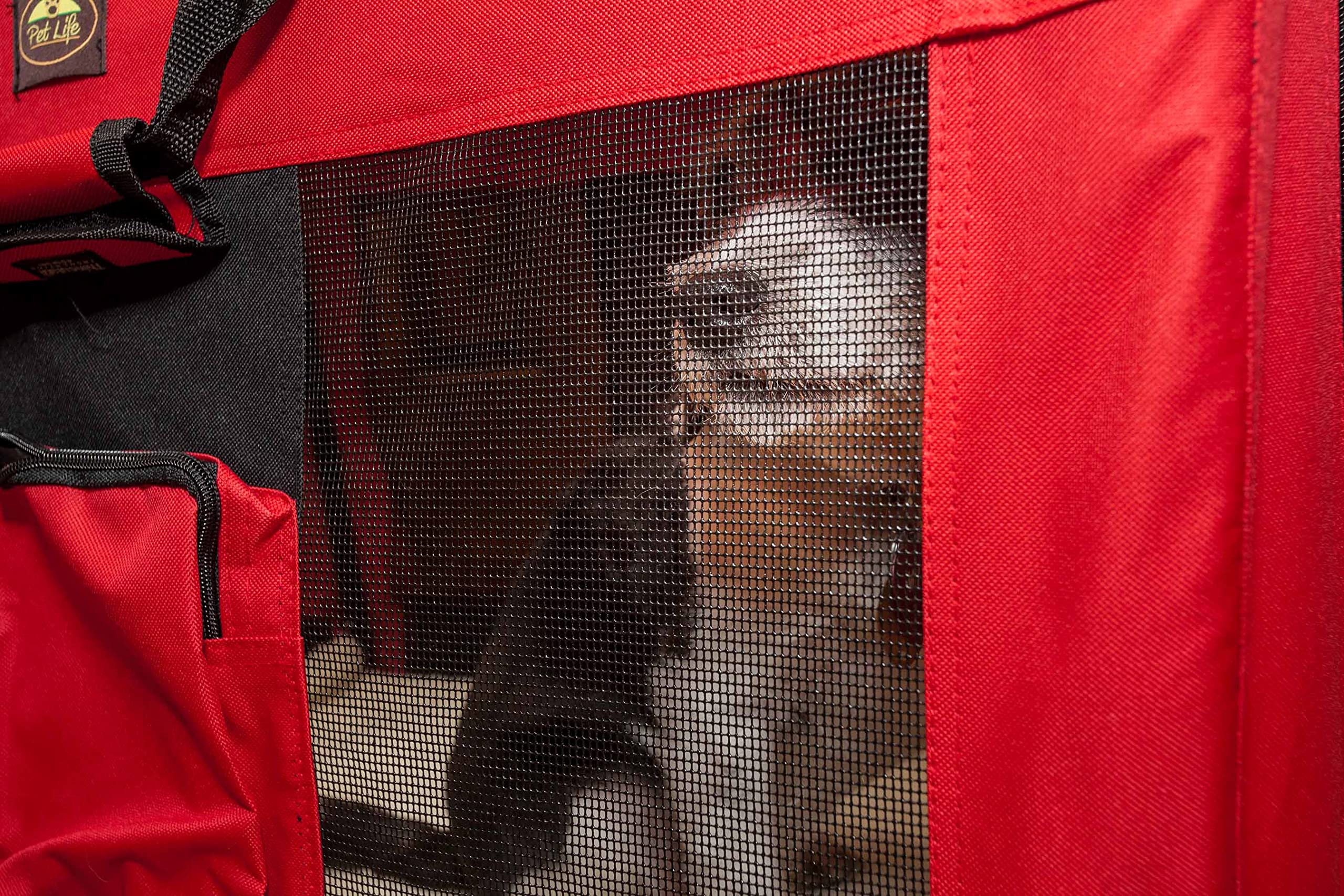 Folding Deluxe 360 Vista View House Pet Crate(D0102H7077W.)