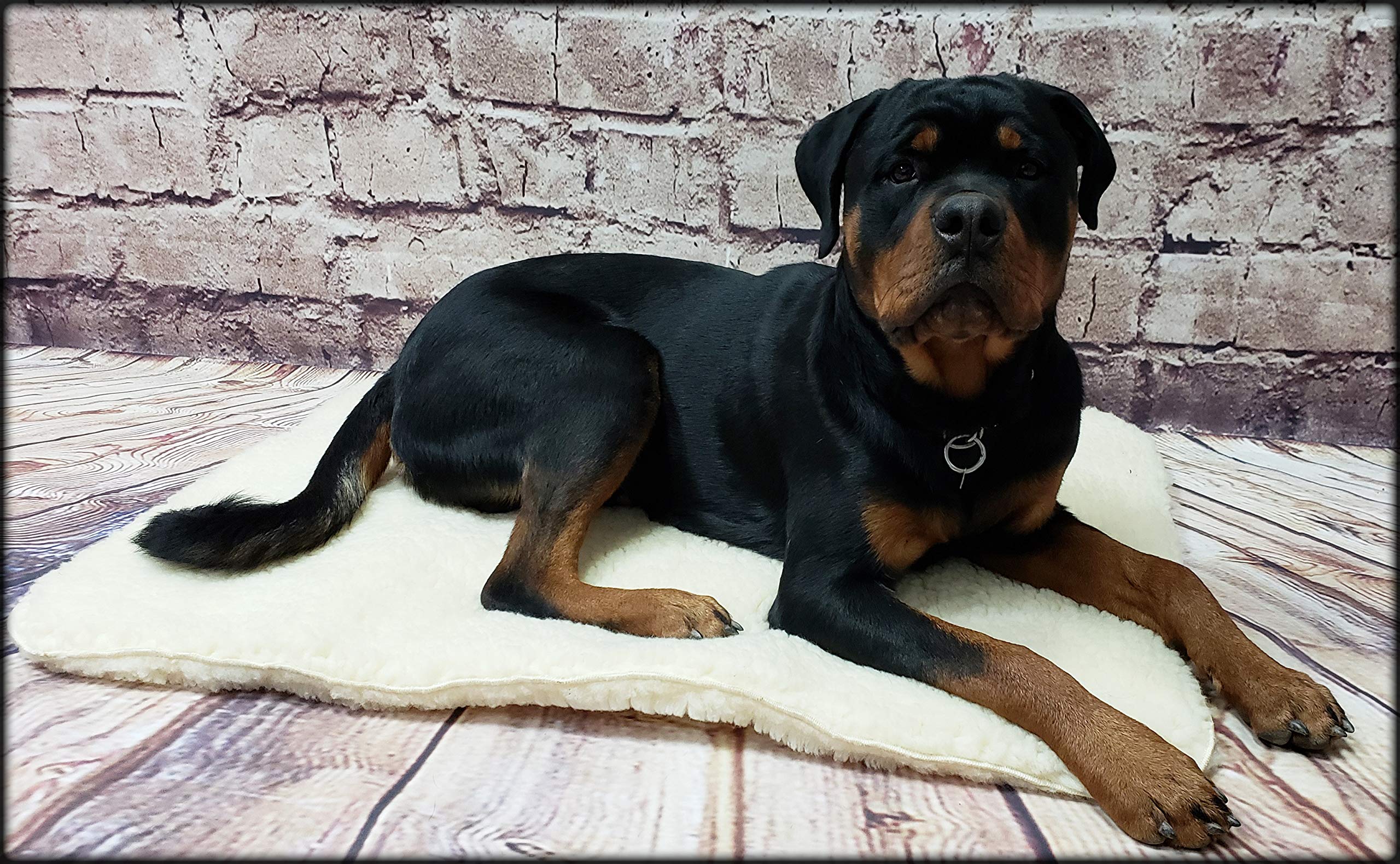 Activedogs Hi Loft Sherpa Faux Lambskin Dog Bed - X-Large 36''X50'' - Orthopedic & Machine Washable - Double Layered