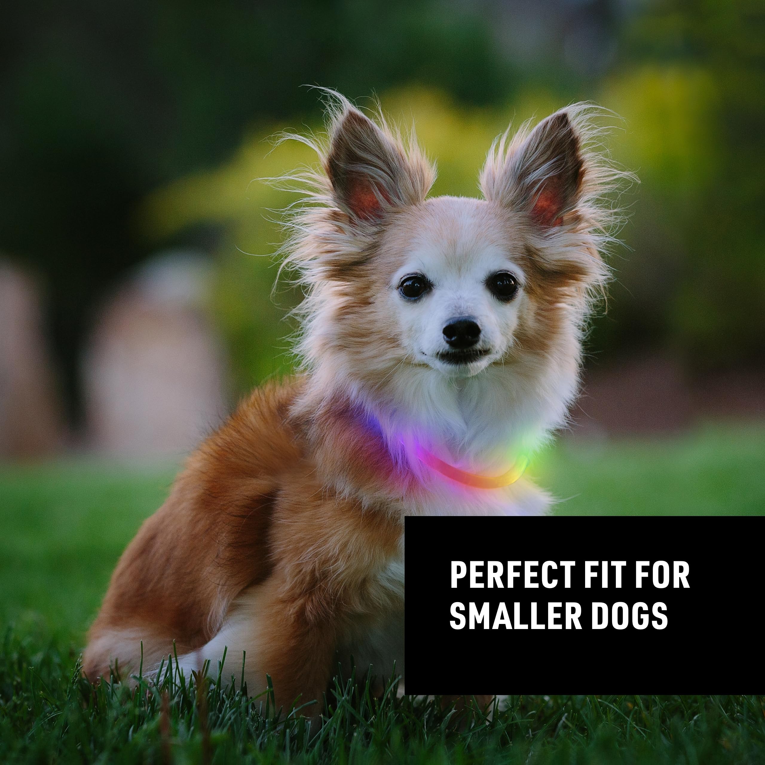 Nite Ize Nitehowl Mini Rechargeable Led Safety Necklace, Disc-O Select - Light Up Dog Necklace With Led Lights - Dog Accessories With Rechargeable Batteries - Mini, Disc-O Select