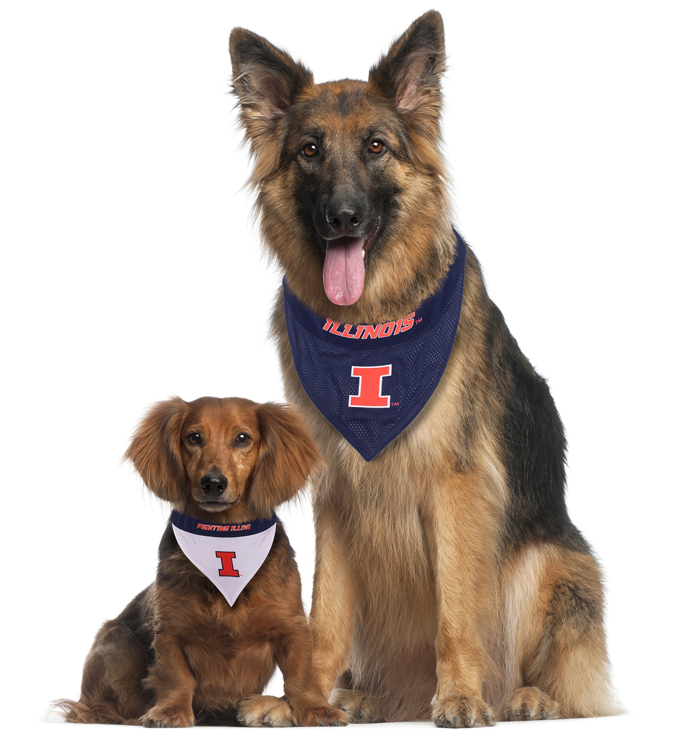 Pets First Collegiate Pet Accessories, Reversible Bandana, Illinois Fighting Illini, Large/X-Large