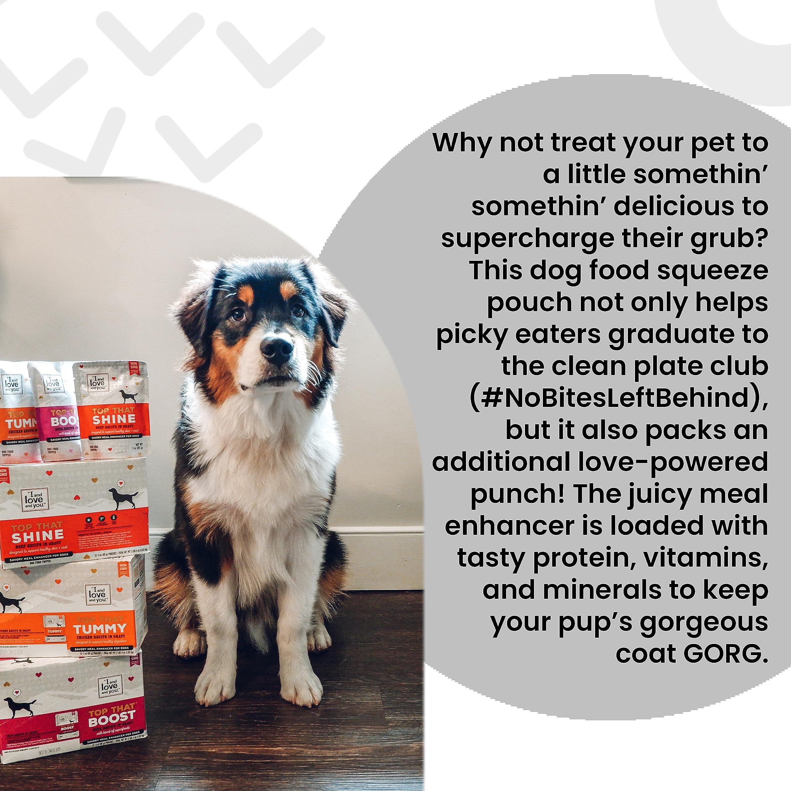 I and love and you Top That Shine Wet Dog Food Pouch, Beef Recipe In Gravy, 3 oz (Pack of 12)
