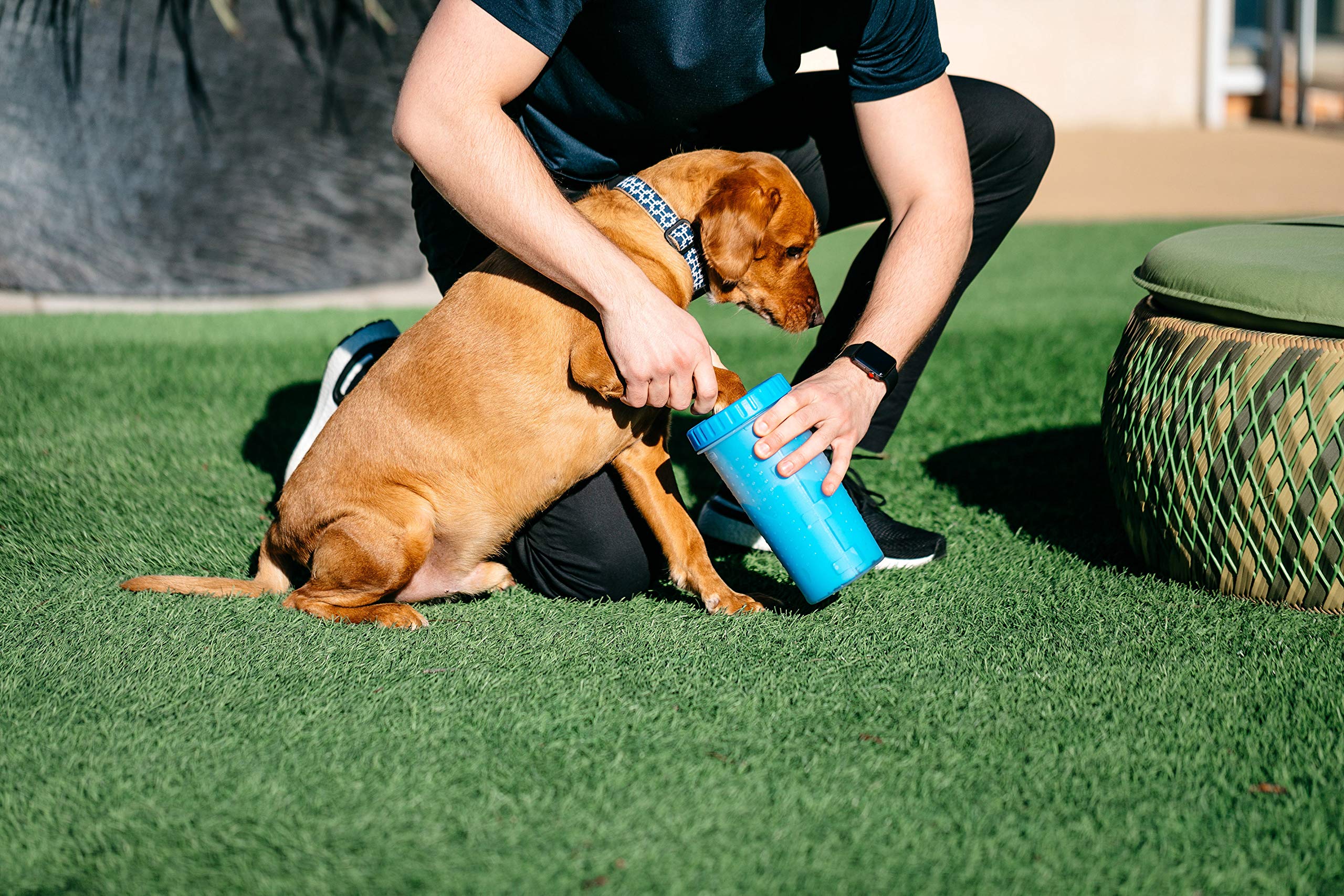 Dexas Mudbuster Portable Dog Paw Washer/Paw Cleaner, Large, Pro Blue