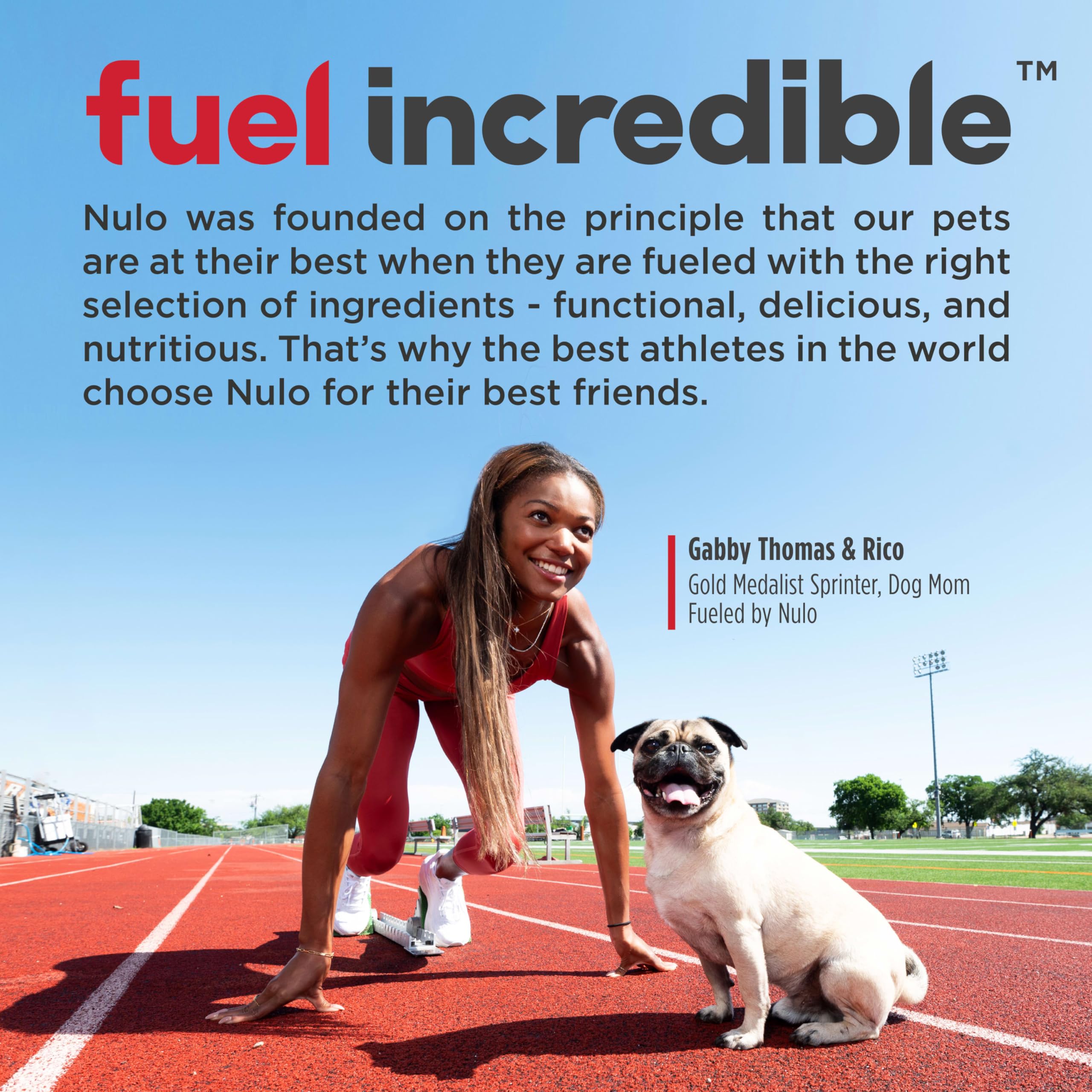Nulo Freestyle High-Protein Turkey Recipe Dry Dog Food, Grain-Free, 5.5 lb Bag for Small Breeds & Puppies