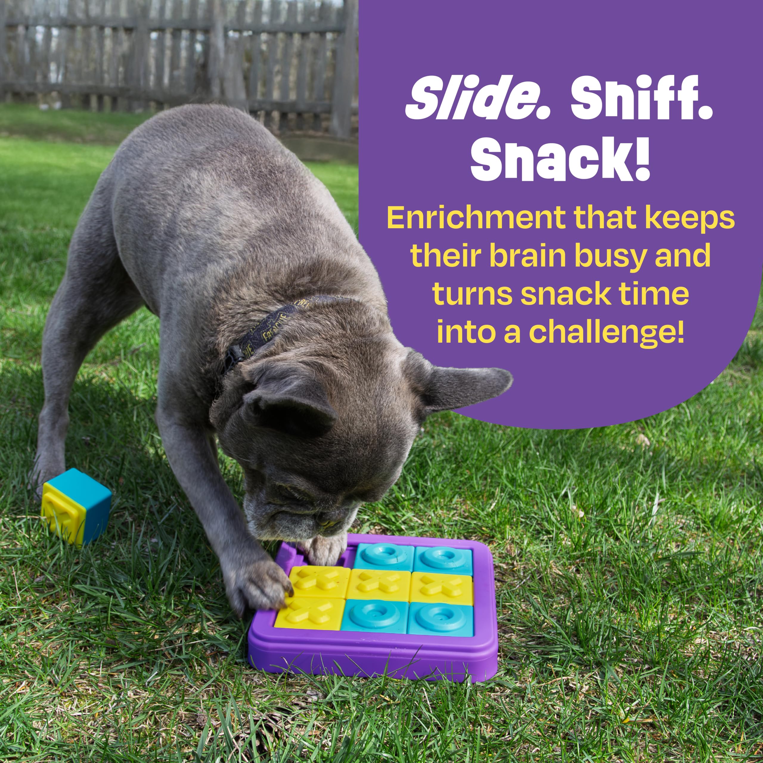 Brightkins Tic-Tac-Toe Treat PuzzleBrightkins Tic-Tac-Toe Treat Puzzle, Outdoor Puzzle Board, Interactive Dog Toys, Dog Birthday