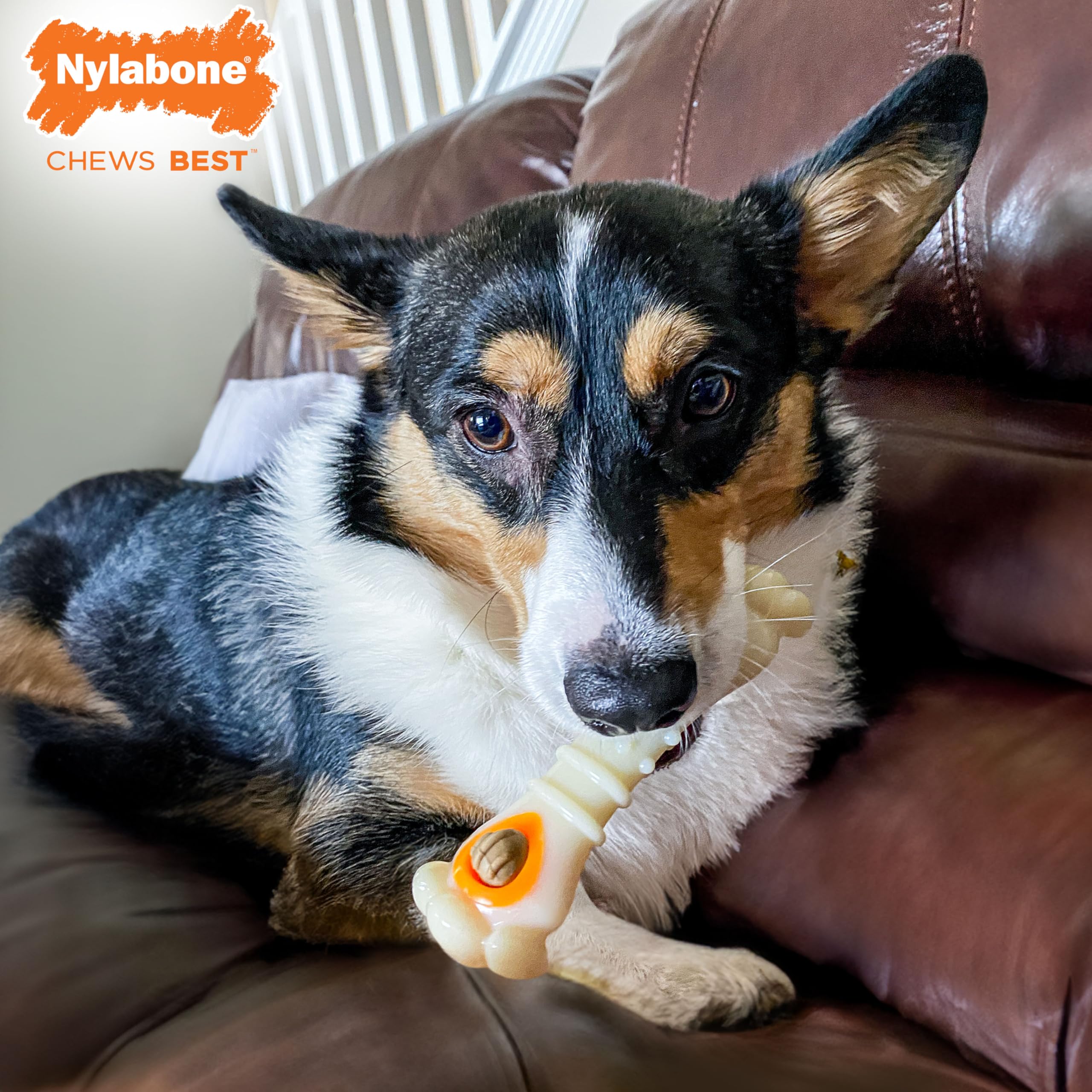 Nylabone Power Chew Knuckle Bone & Pop-in Dog Treat Toy Combo with Chicken Flavor Treat Refills, Chew Toy for Aggressive Chewers