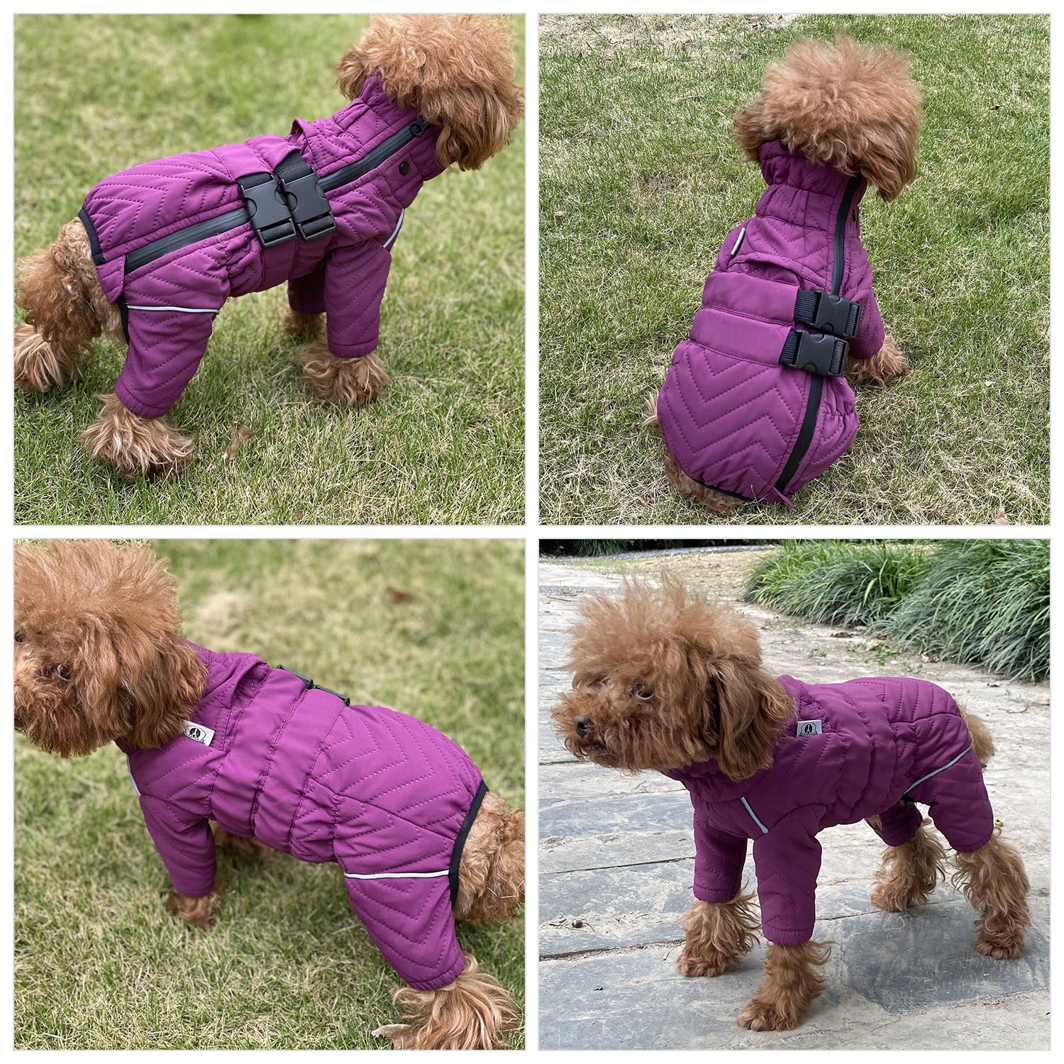Warm Dog Coat Double Layers Dog Vest, 6 Legs Covered Windproof Waterproof Reflective Warm Dog Vest Outdoor Skating Dog Costume For Small Medium Large Dogs Purple S
