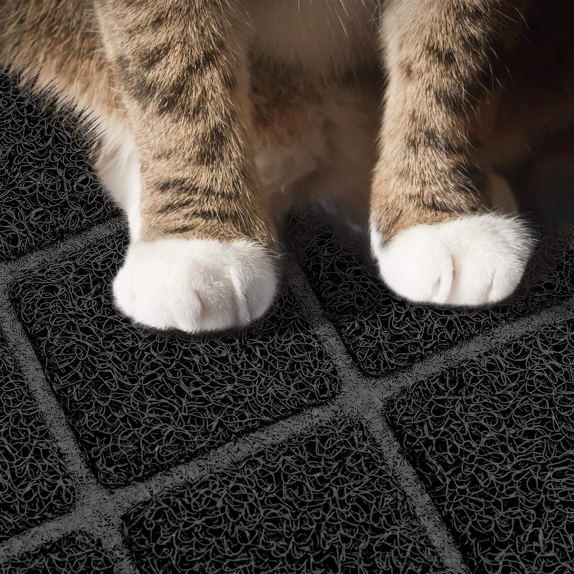 Niubya Premium Cat Litter Mat, 47'' Long X 35'' Wide, Extra Large Size, Waterproof And Non-Slip Design, Gentle On Paws, Easy To