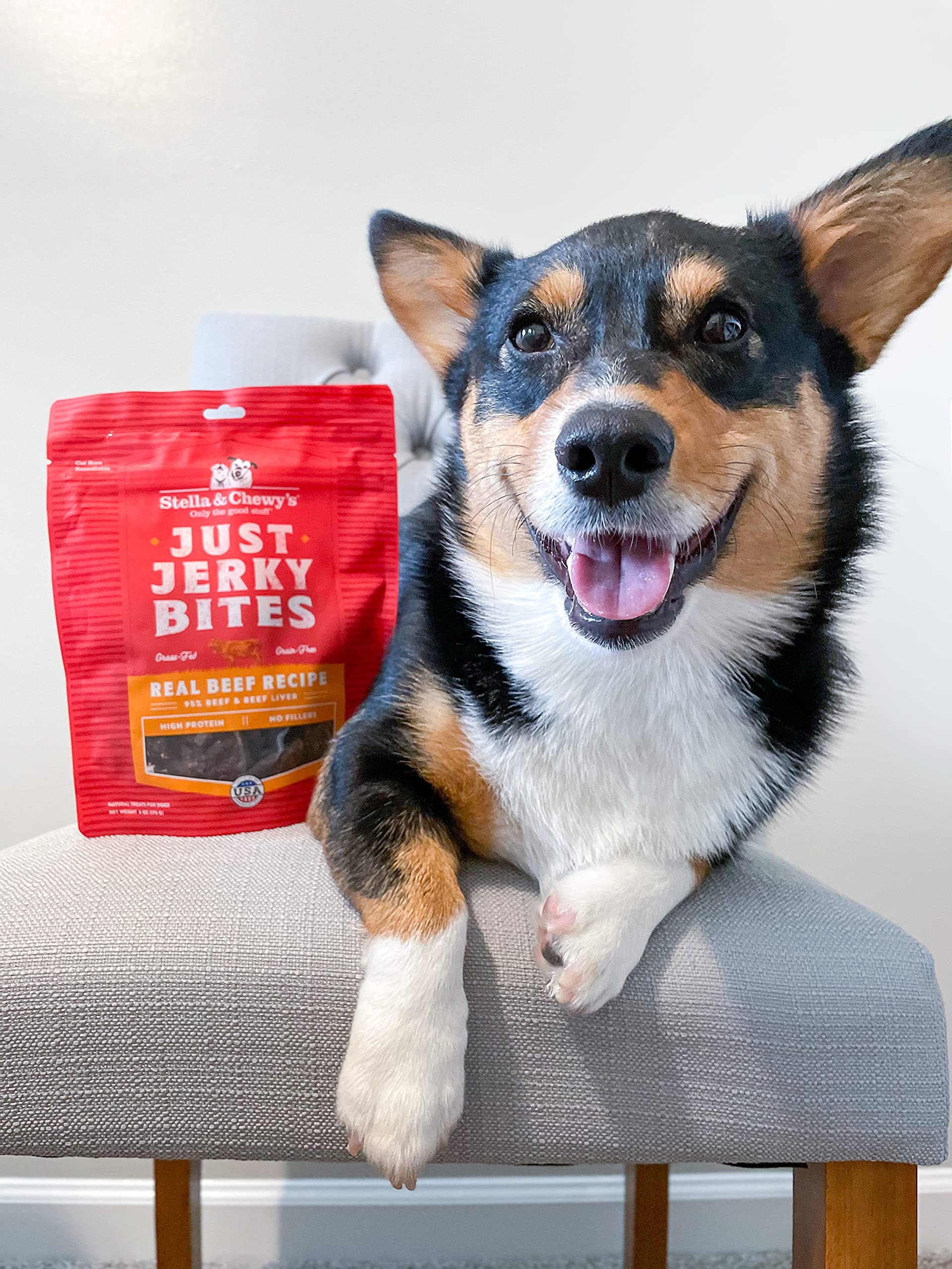 Stella & Chewys Just Jerky Bites Real Salmon Recipe Dog Treats, 6 oz. Bag