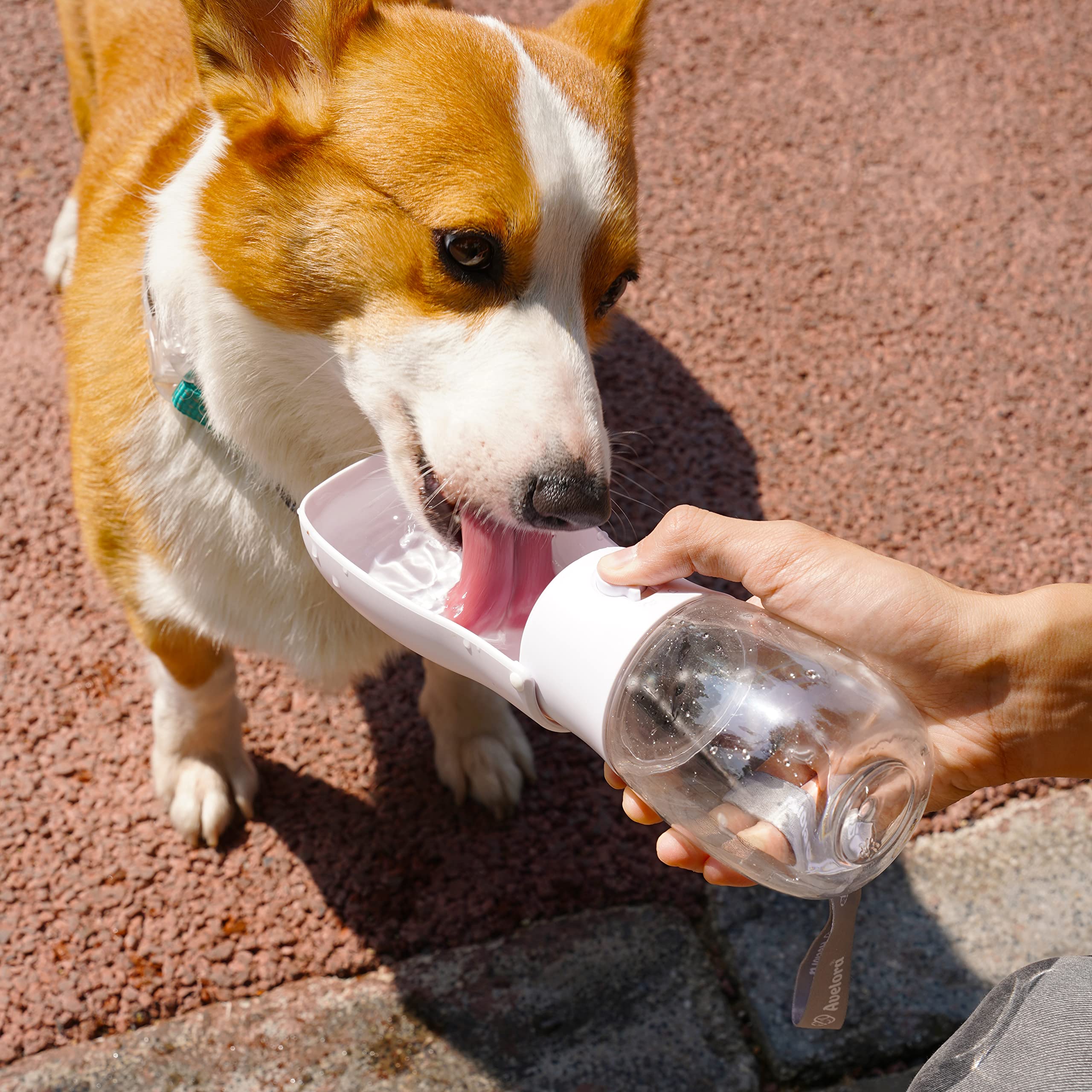 AVELORA Foldable Dog Water Bottle,Portable Dog Water Dispenser,Outdoor Pet Water Bottle for Dog,Cat,Puppy,Walking,Hiking,Travel.