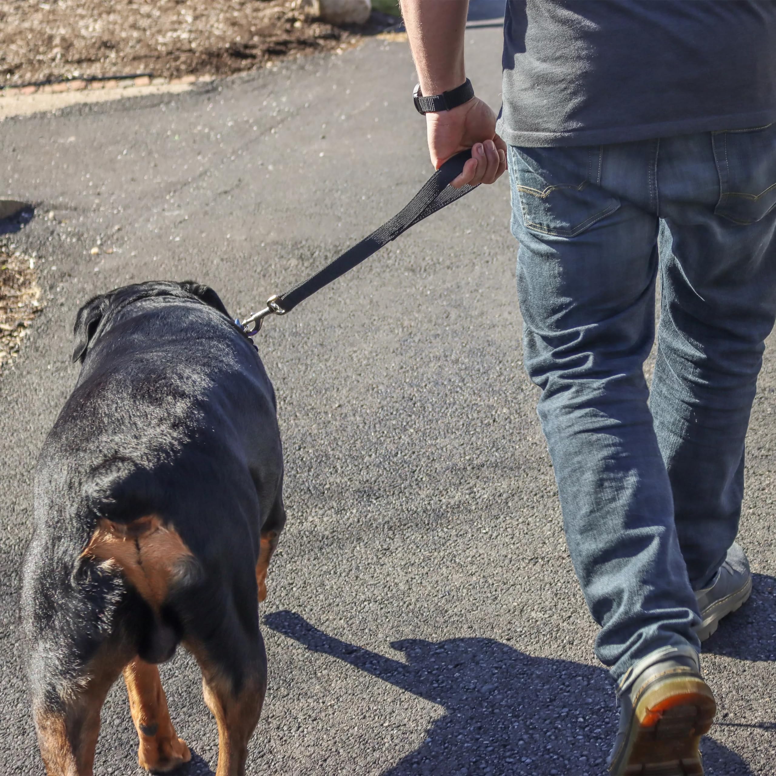 Coastal Pet Double-Ply Dog Traffic Leash - Durable And Short Traffic Leash For Training Dogs - Perfect For Vet Visit - Black, 1' X 24'