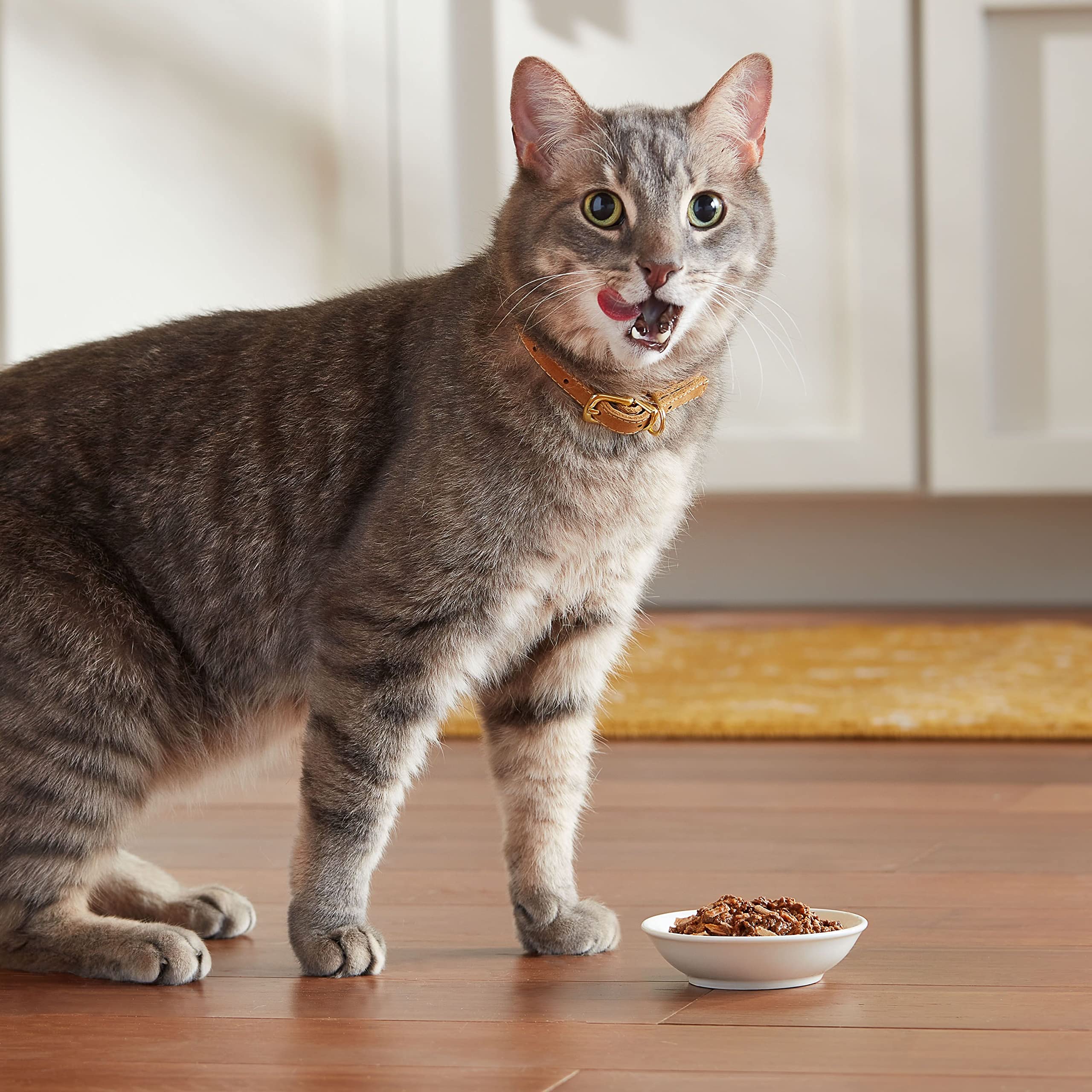 Meow Mix Tenders in Sauce Wet Cat Food, Tuna & Shrimp, 2.75 Ounce Cup (Pack of 12)
