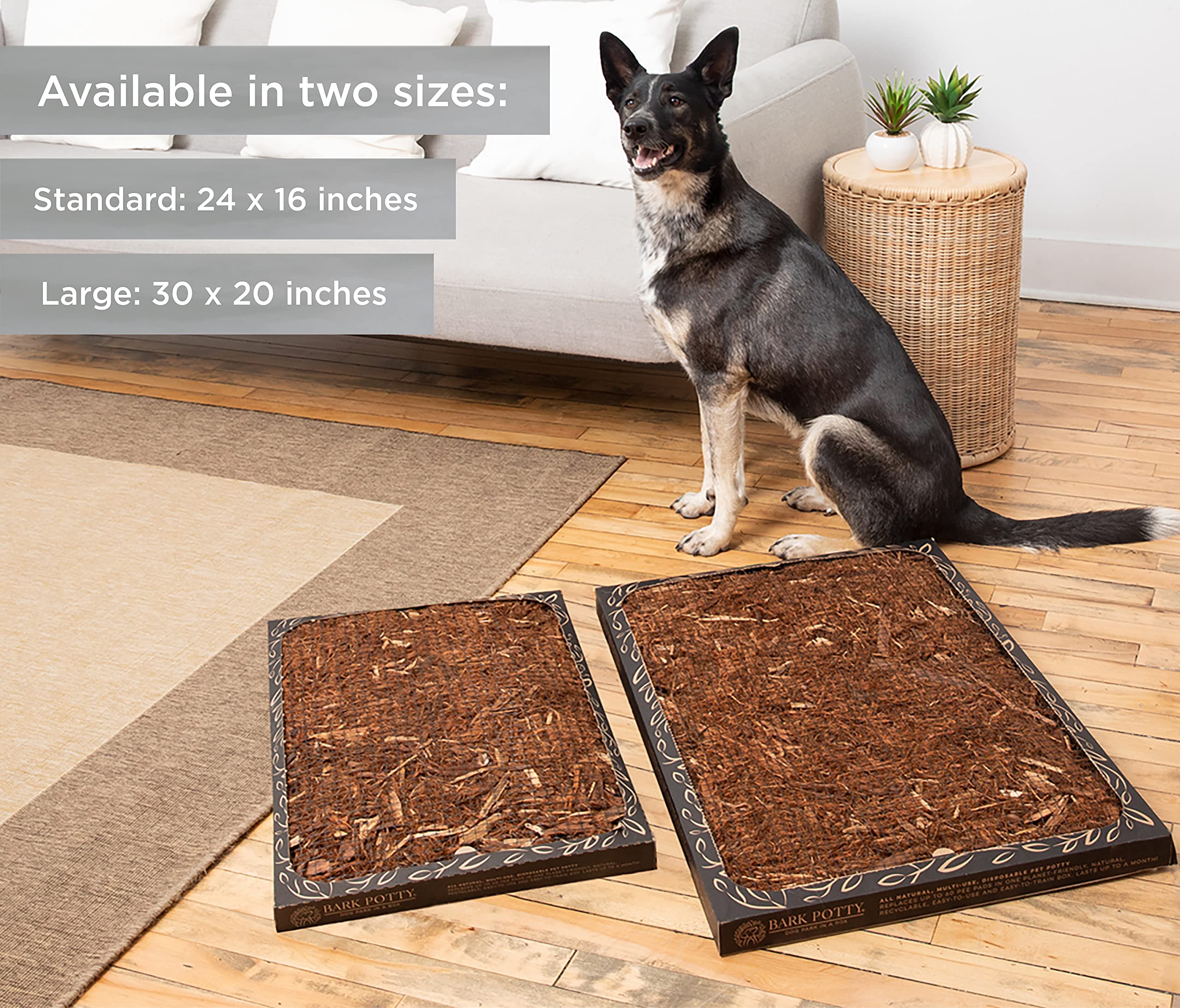 Bark Potty Disposable Training Pads, Multi Use Leak-Proof And Odor Control Puppy Pee Pads | 30 X 20 Standard Pee Pads For Dogs | Natural Bark Potty Pads For Dogs - Dog Housebreaking & Puppy Supplies