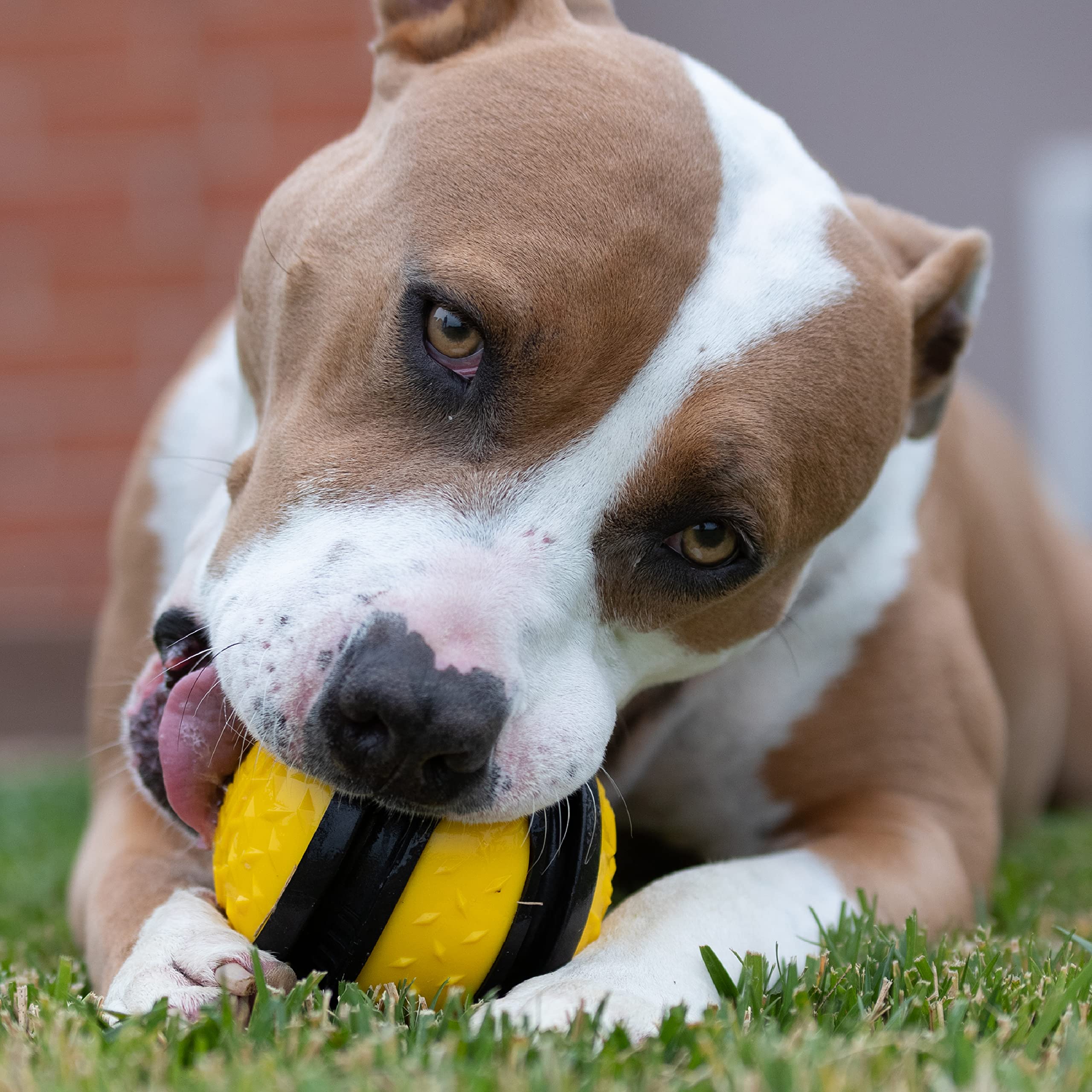 Tonka Diamond Clad Ball Dog Toy, Lightweight, Durable And Water Resistant, 4 Inches, For Medium/Large Breeds, Single Unit, Yellow/Black