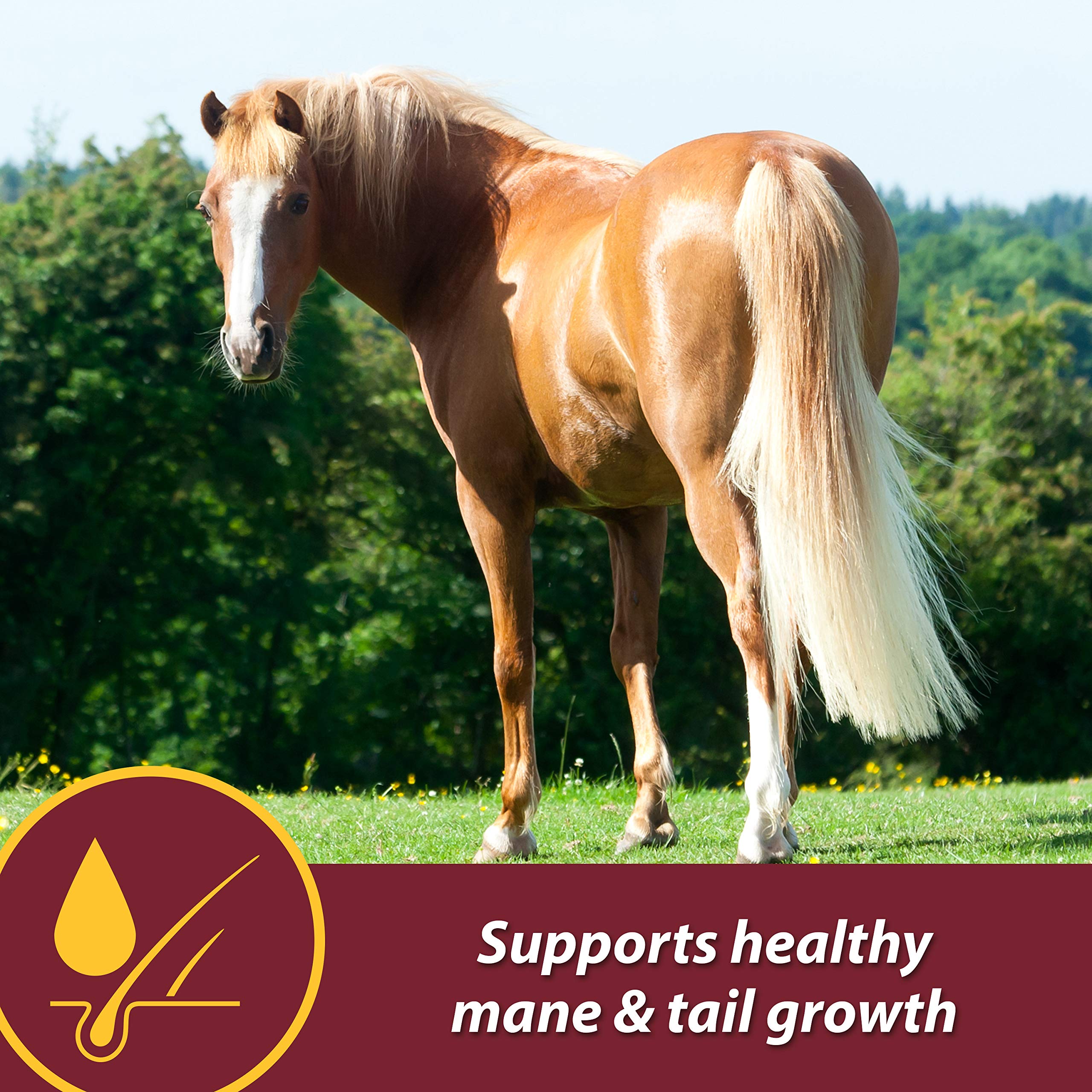 Farnam Laser Sheen Skin & Coat Supplement for Horses, Promotes Healthy Skin & Radiant Coat from The Inside Out, 3.75 Pounds 30 D