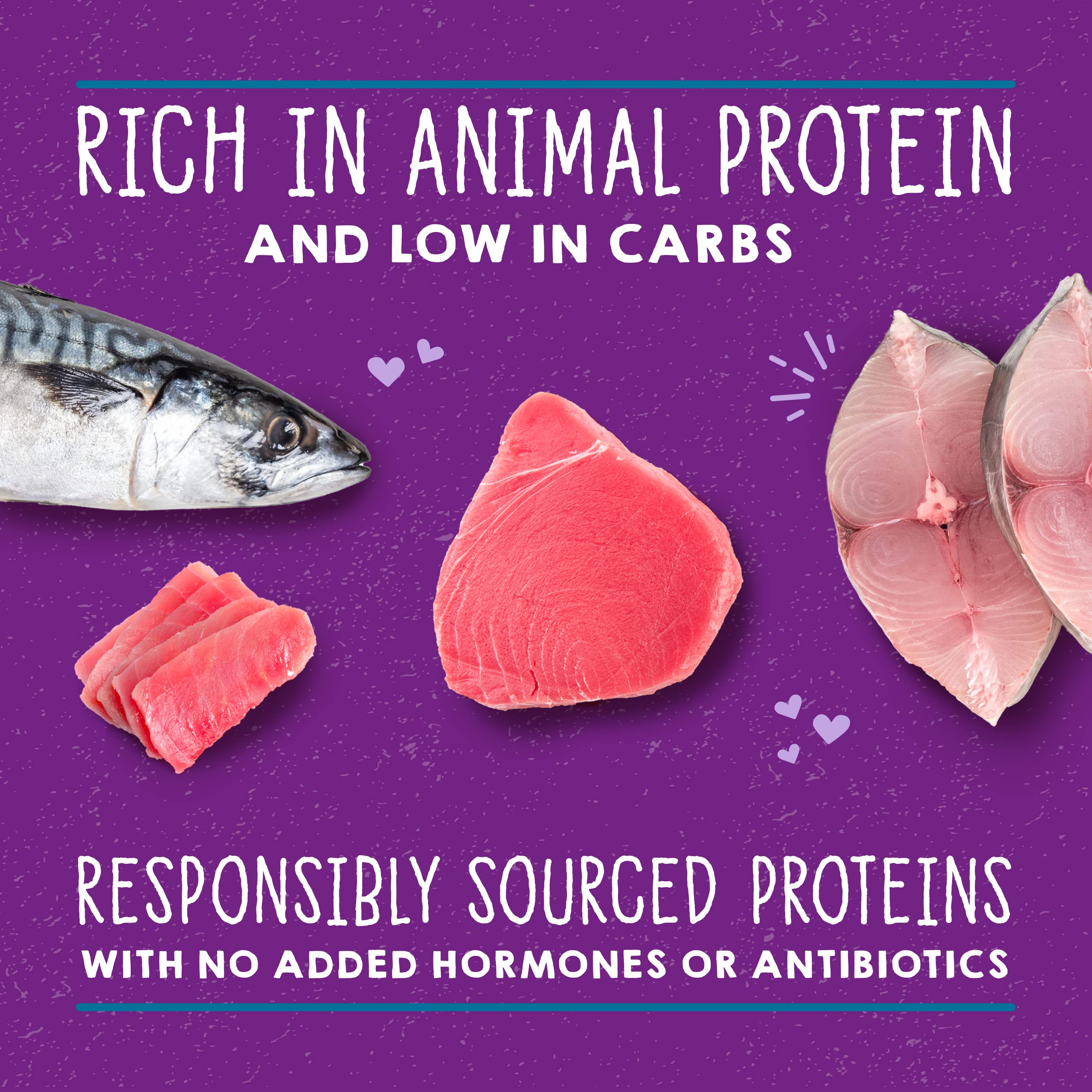 Stella & Chewy s Carnivore Cravings Savory Shreds Cans - Grain Free, Protein Rich Wet Cat Food - Wild-Caught Tuna & Mackerel Re
