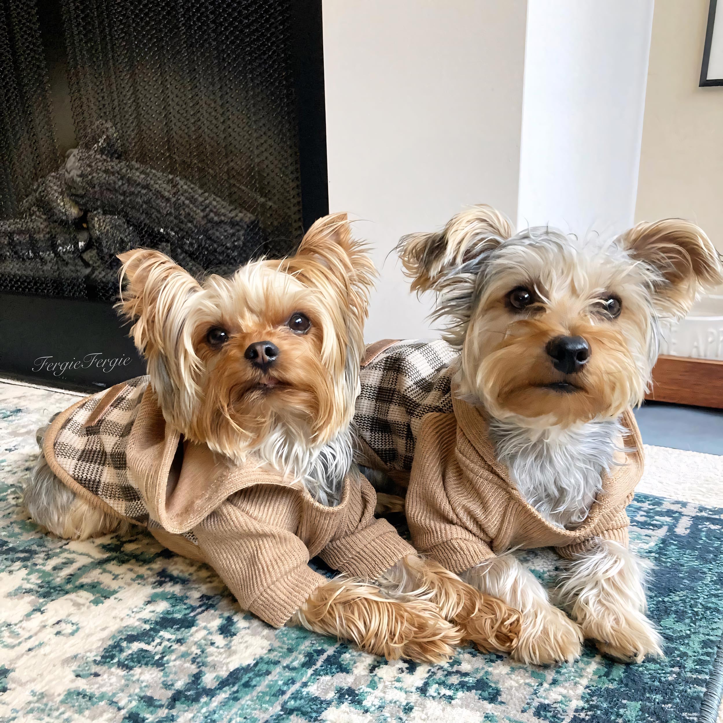 Fitwarm Tartan Plaid Dog Hoodie, Knitted Dog Clothes for Small Dogs Boy, Pet Sweatshirt, Knitted Sweater, Beige, XS