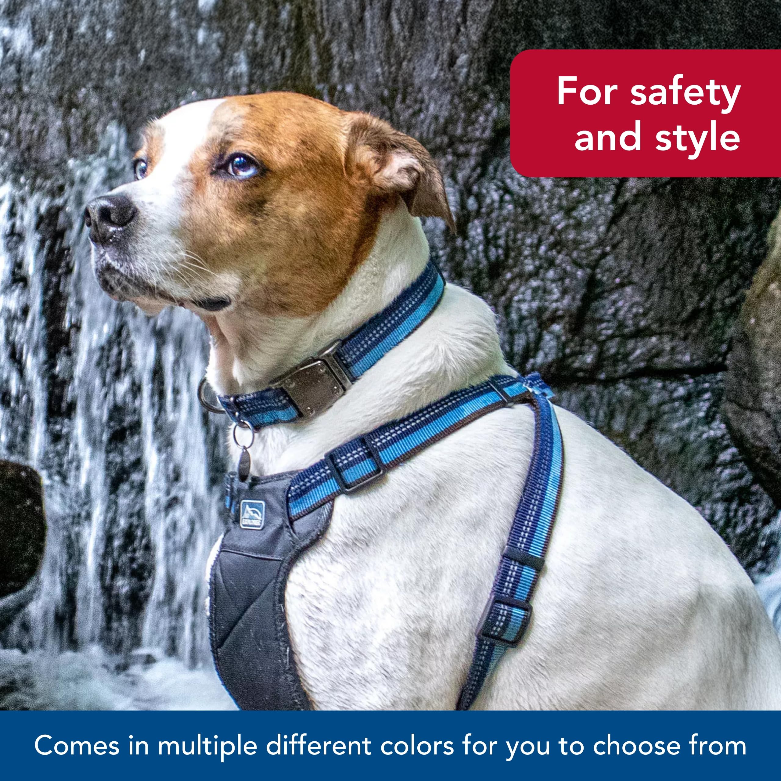 Coastal Pet K9 Explorer Reflective Adjustable Dog Collar - Comfortable Collar For The Outdoors - Durable, Lightweight Accessory With Side-Release Buckle - Berry, 1' X 12-18'