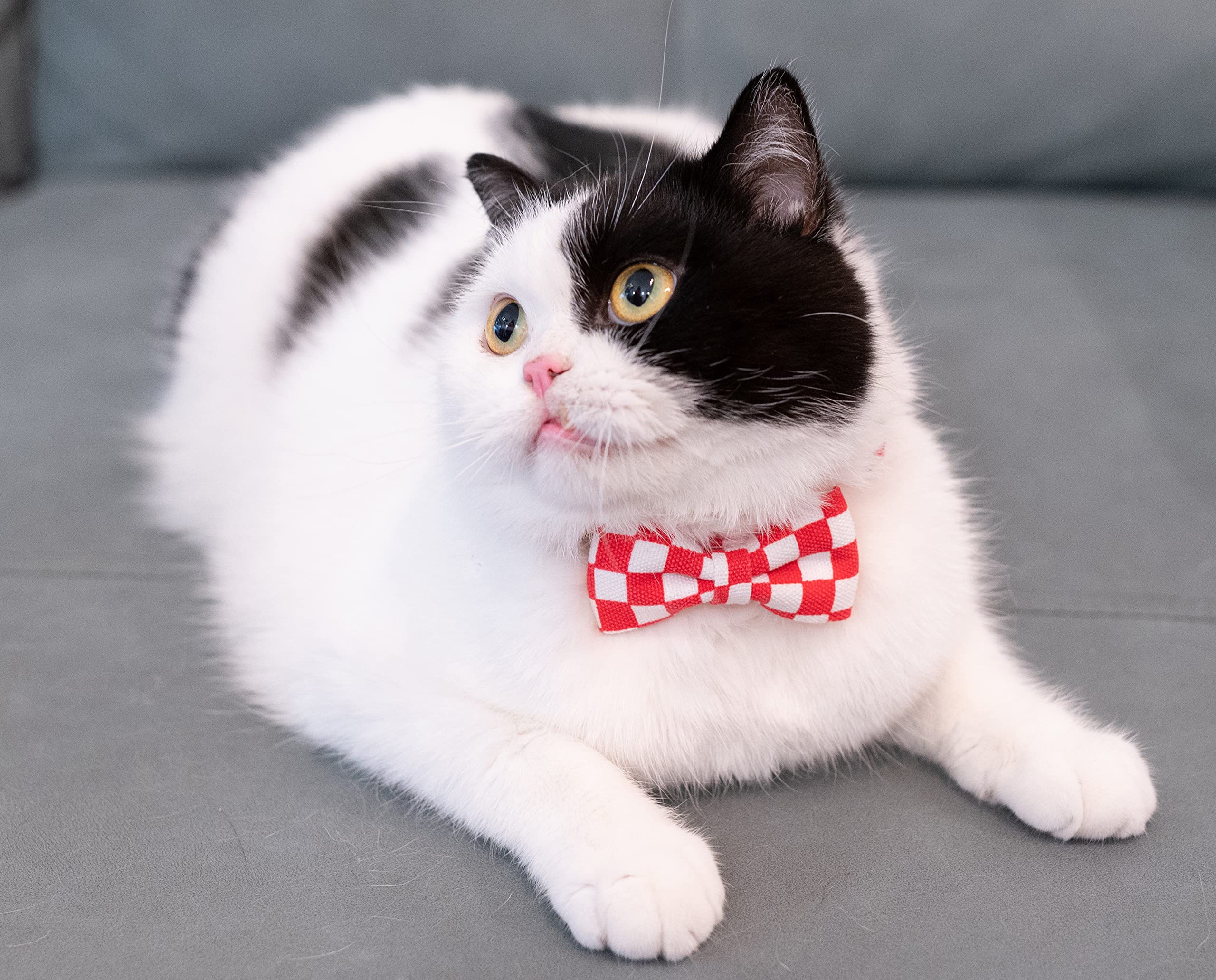 Gyapet Collar For Cats Pets Breakaway With Bell Bowtie Floral Bow Detachable Adjustable Safety Puppy 2Pcs Plaid & Solid-Red