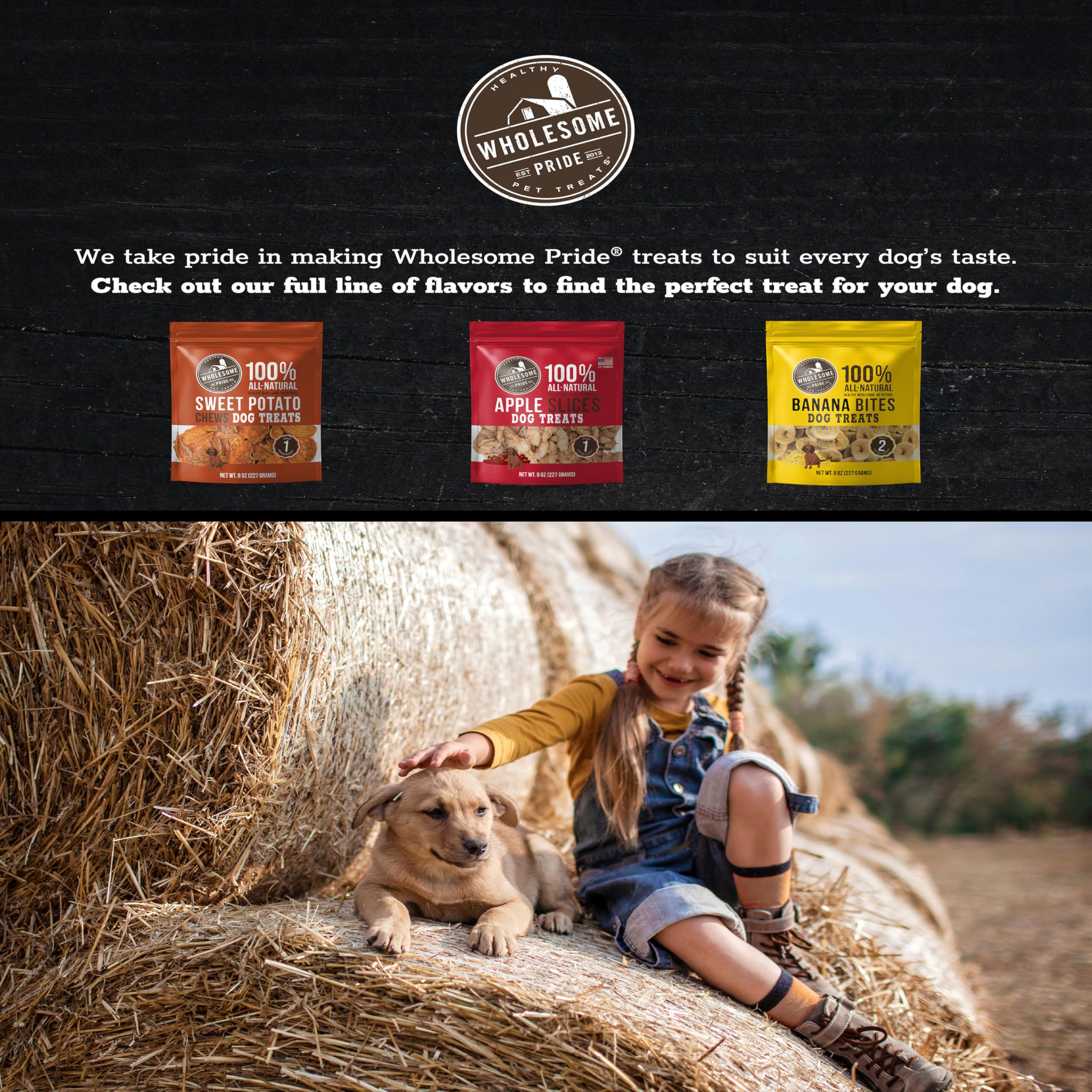 Wholesome Pride Sweet Potato Chews Dog Treats, 16 oz - 100% All-Natural, Single Ingredient, Healthy Snack for Dogs