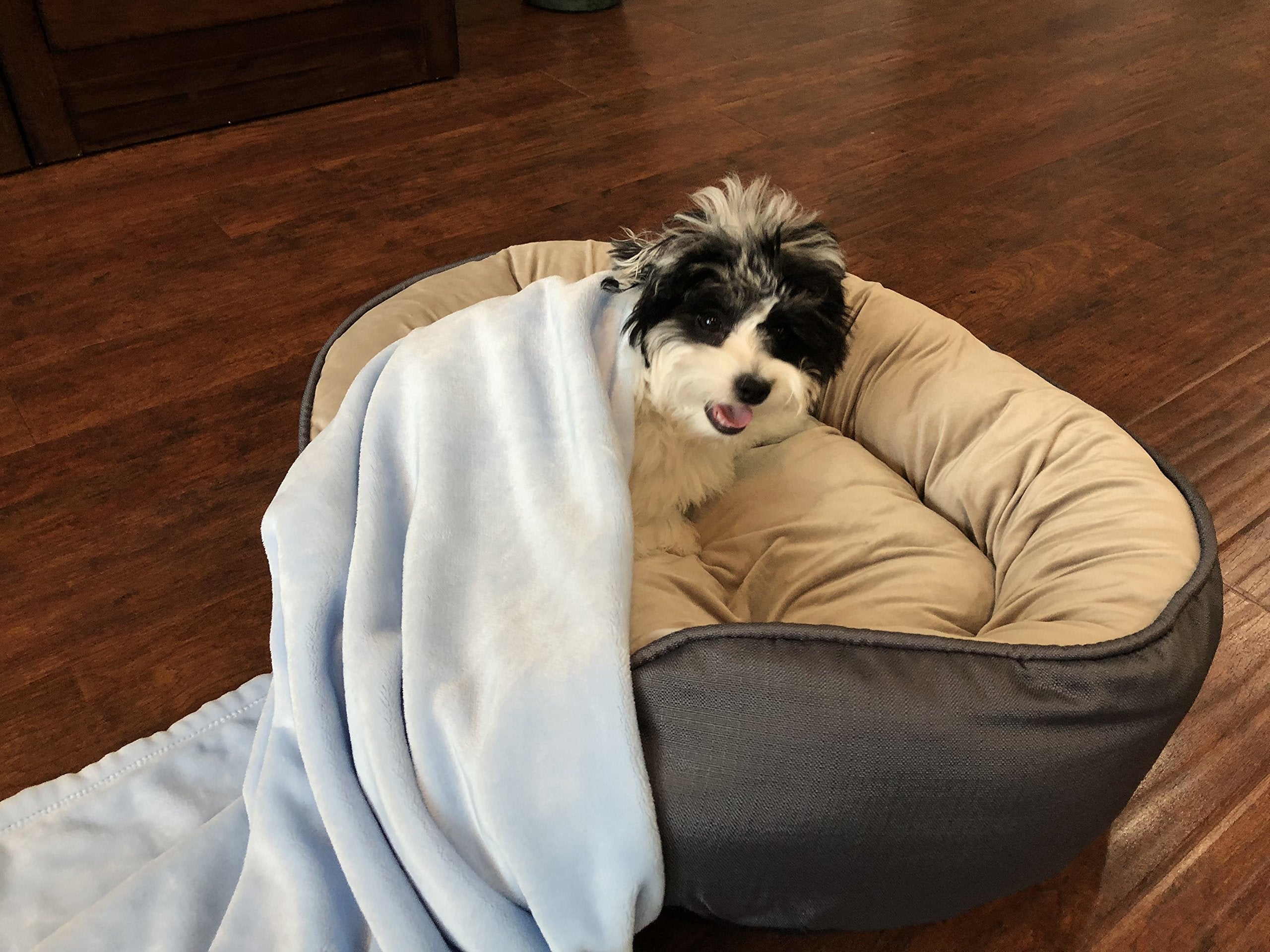 Super Soft Premium Pet Blankets - Best Friend Blue Pet Blanket - 30' X 40' - Designed For Puppies & Kittens - Great For Pet Beds And Carriers