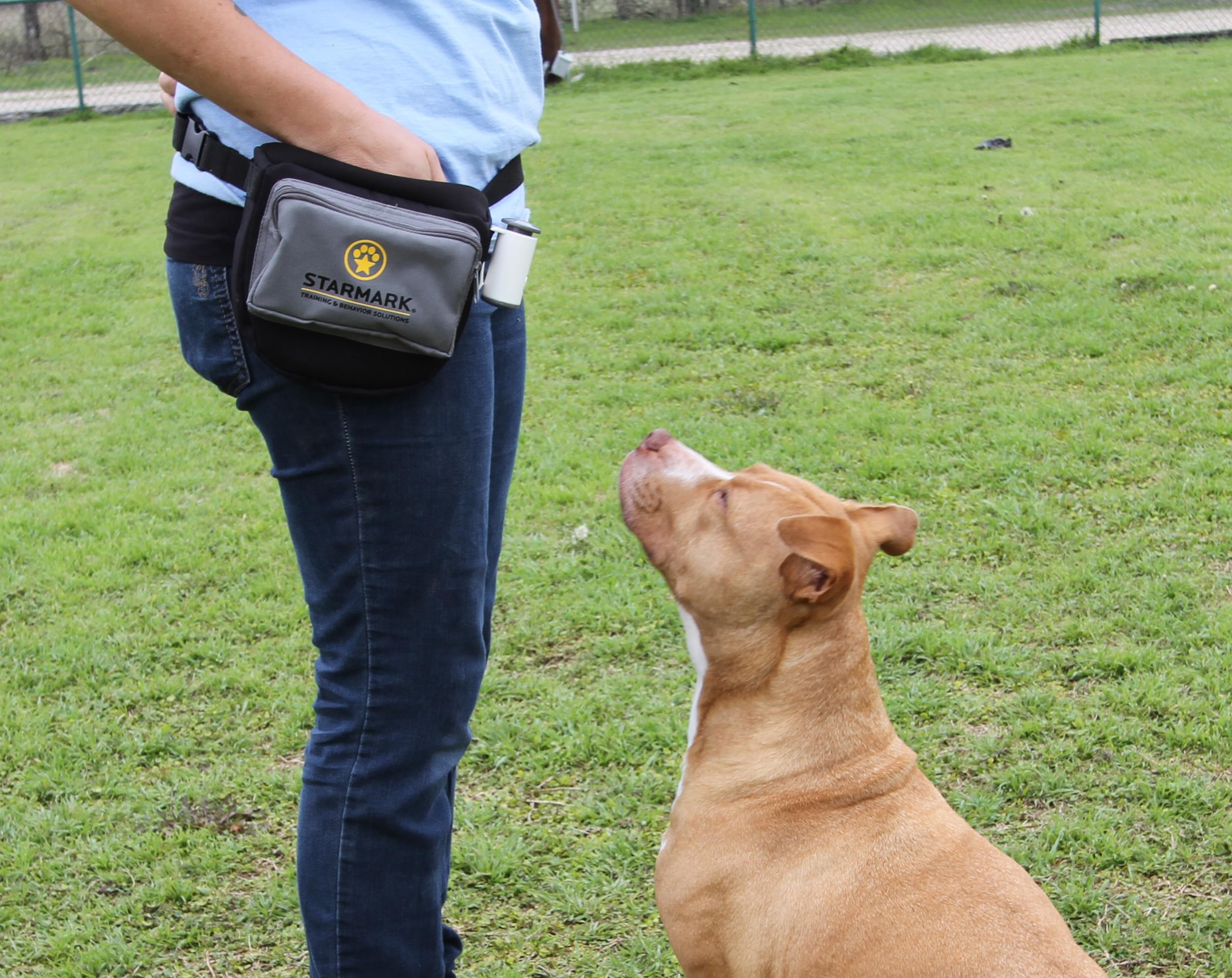 Triple Crown Pro Training Quicker Clicker Device Dome Shape Fast Click Pet Dog