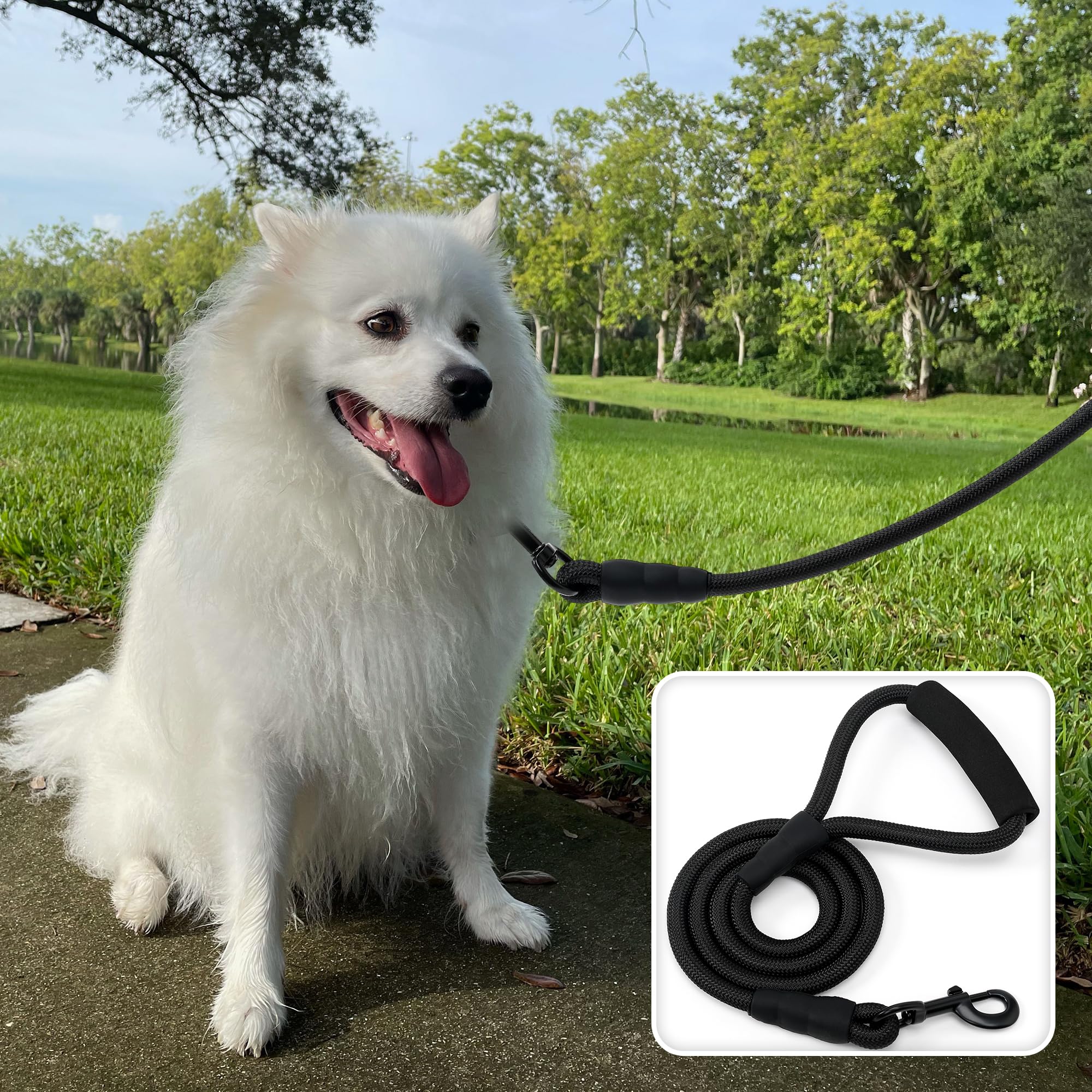 Mile High Life Dog Leash With Comfortable Padded Handle | Black Nylon Rope Dog Leash | Heavy Duty 5 Feet Dog Leashes (Black)