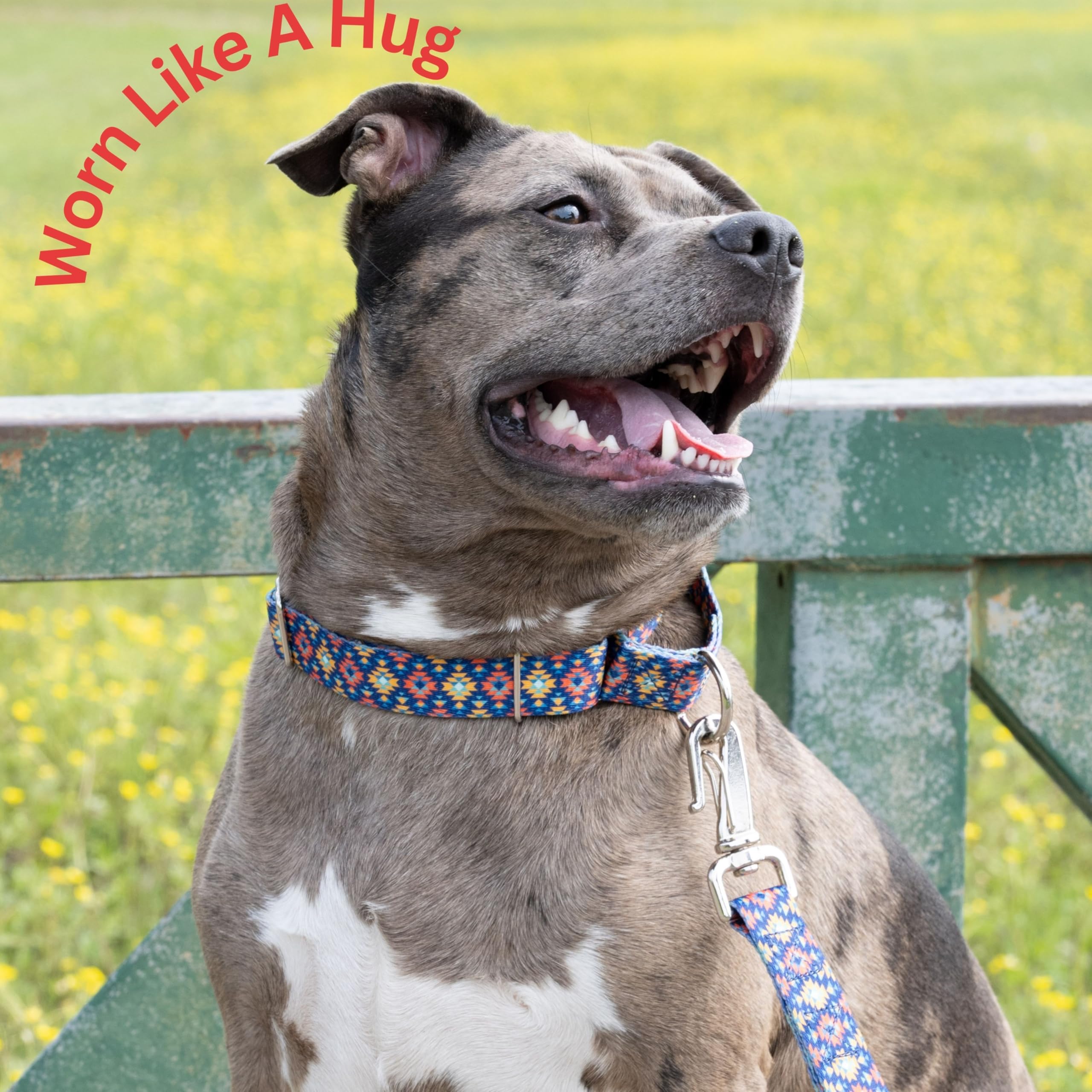 Country Brook Petz - Utah Martingale Dog Collar - Country And Western Collection Featuring Rustic Designs (1 Inch, Extra Large)