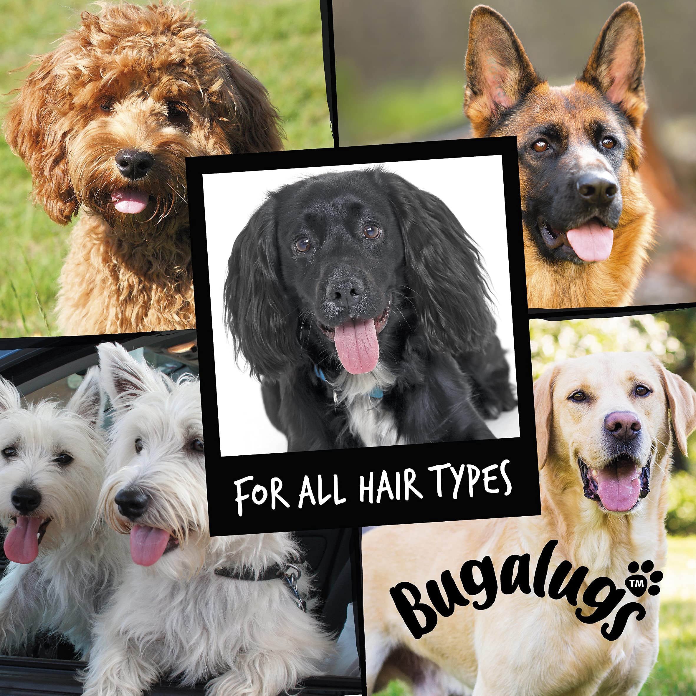 Dog Shampoo by Bugalugs Lavender & Chamomile 4 in 1 Dog Grooming Shampoo Products for Smelly Dogs with Fragrance, Best Puppy Shampoo, Vegan pet Shampoo & Conditioner -Like New
