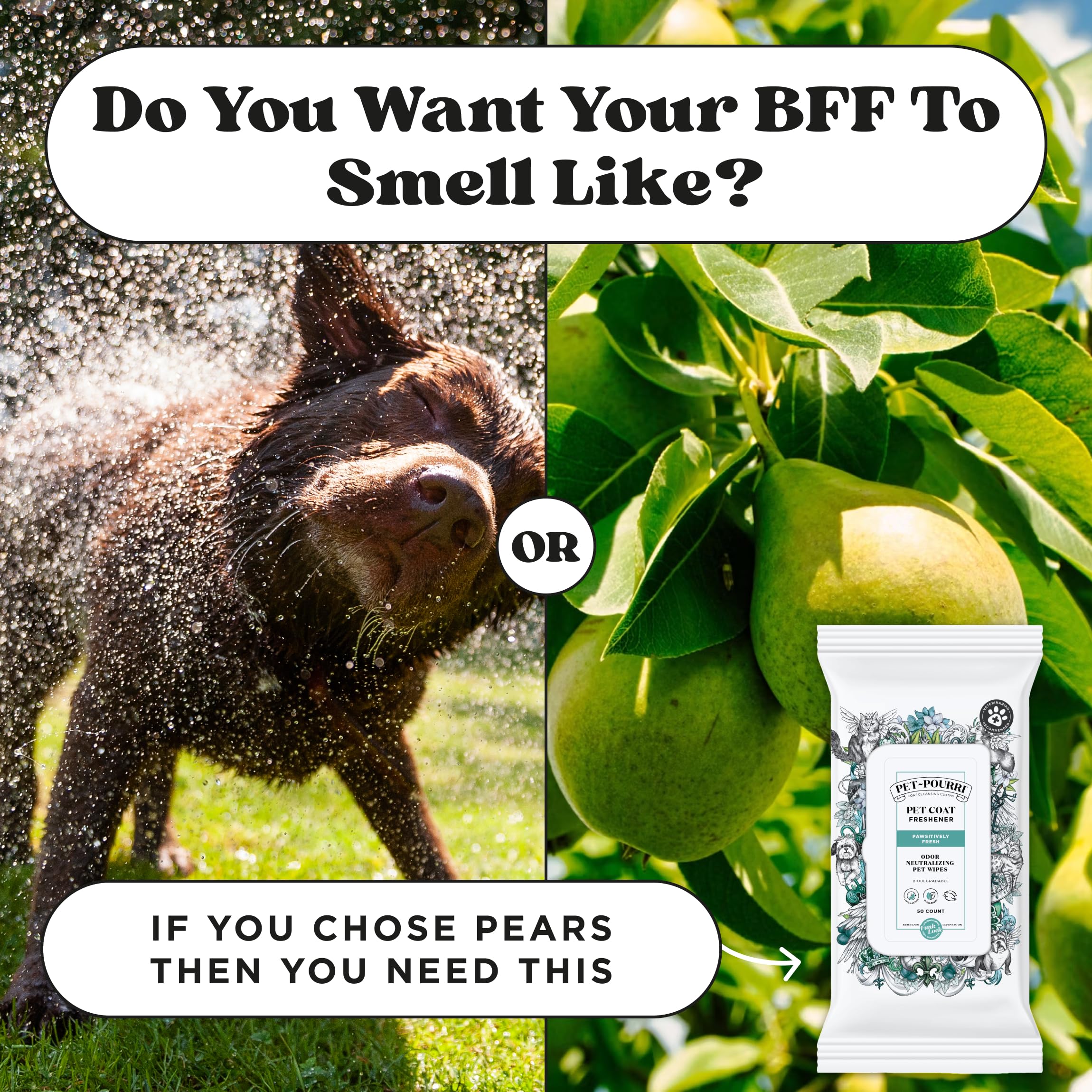 Pet-Pourri Pawsitively Fresh Deodorizing Pet Wipes - Quick Cleaning Wipes For Dogs & Cats - Plant Based Ingredients - Vet Recomm