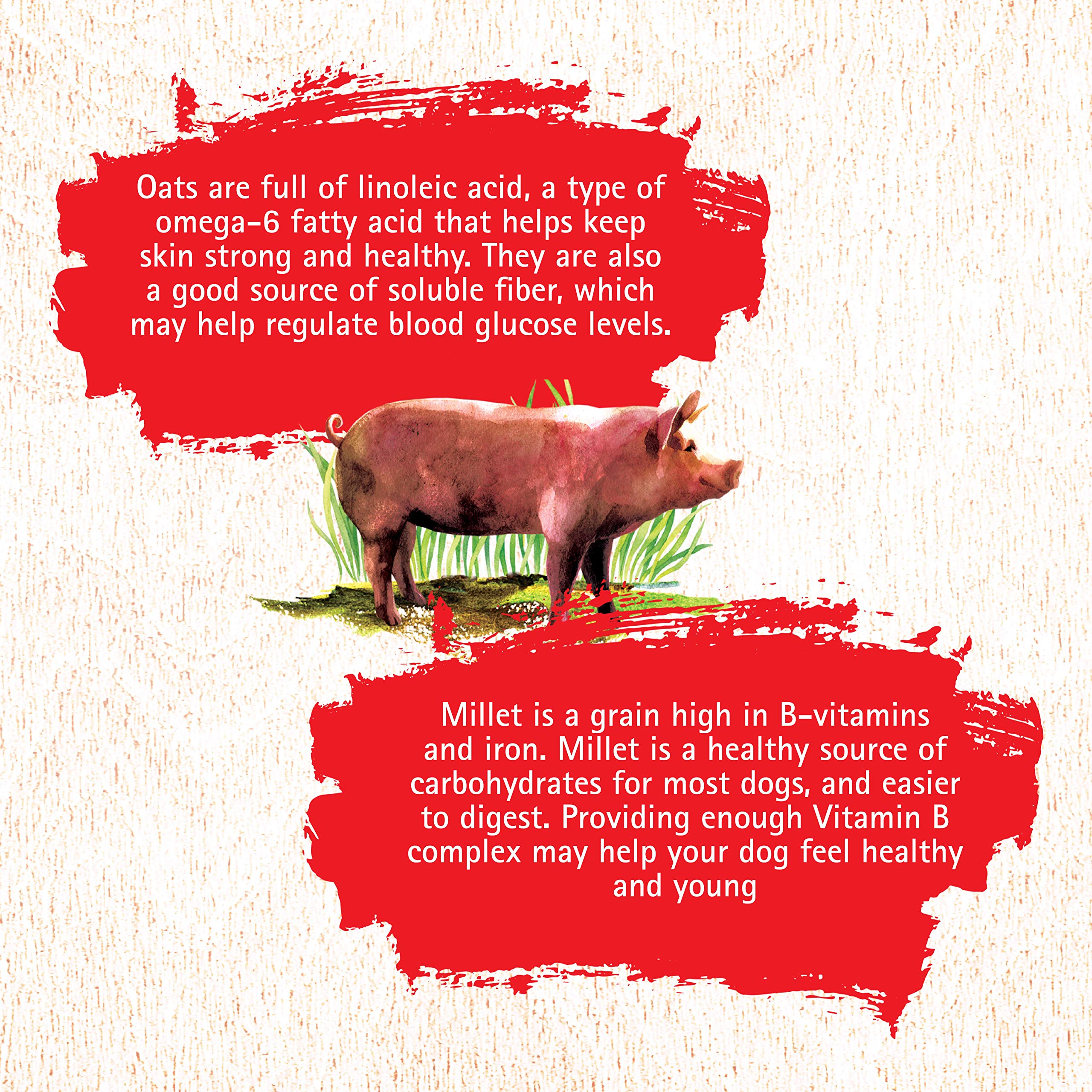 Inception Dry Dog Meat First Food Pork Recipe - Complete and Balanced Dog Food - Legume Free Meat First Dry Dog Food - 27 lb. Ba