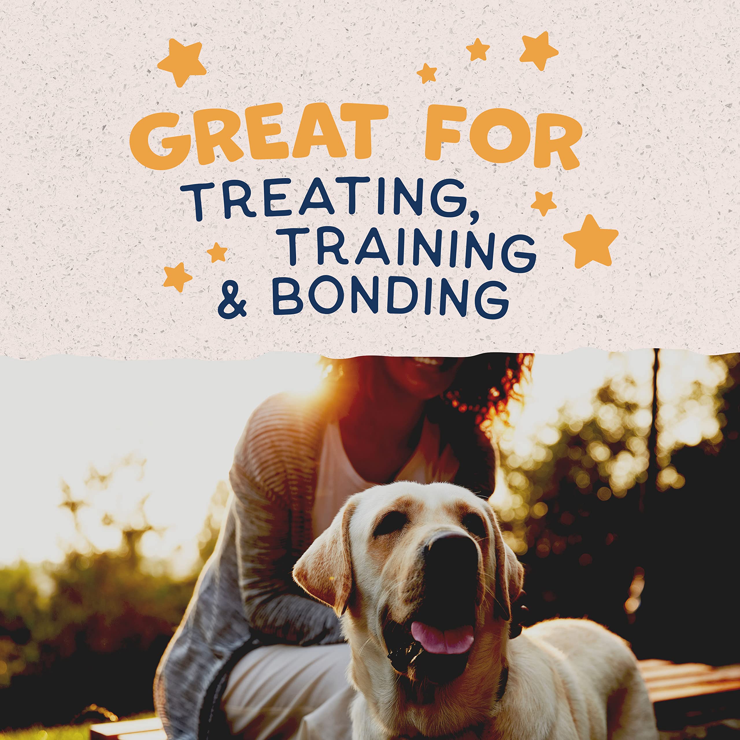 Natural Balance Limited Ingredient Rewards Crunchy Biscuits, Grain-Free Dog Treats for Adult Dogs of All Breeds, Duck Recipe, 28