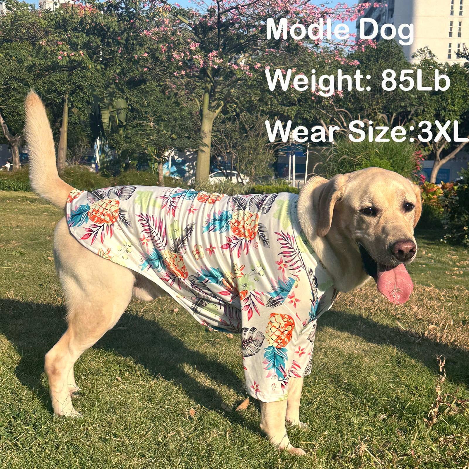 Hawaii Shirt For Dogs - White Fruits Print Polo T-Shirt, Breathable Cool Beach Style Summer Clothes For Boys And Girls (Large, F