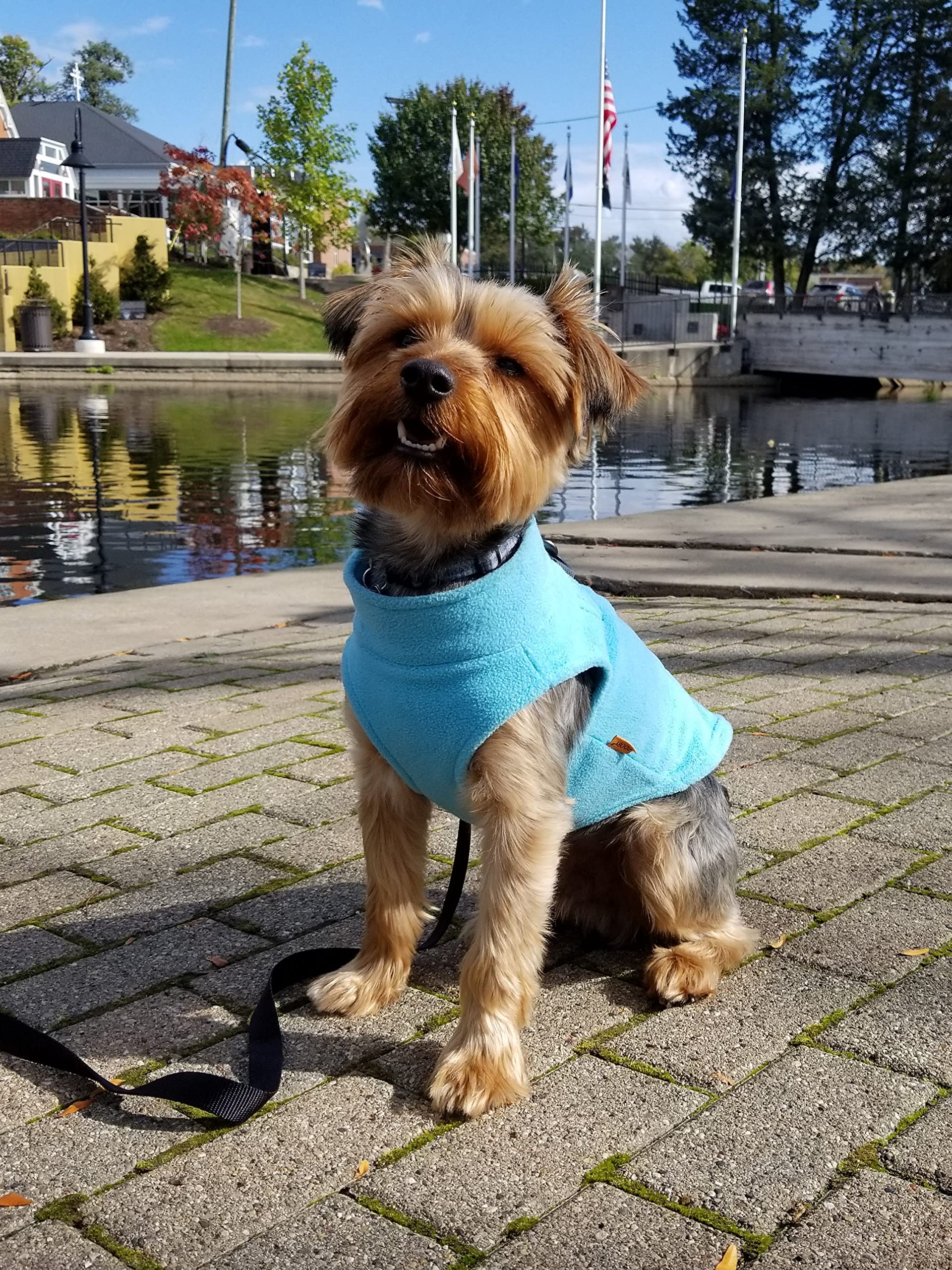 Gooby Zip Up Fleece Dog Sweater - Turquoise, Medium - Warm Pullover Fleece Step-In Dog Jacket With Dual D Ring Leash - Winter Small Dog Sweater - Dog Clothes For Small Dogs Boy And Medium Dogs