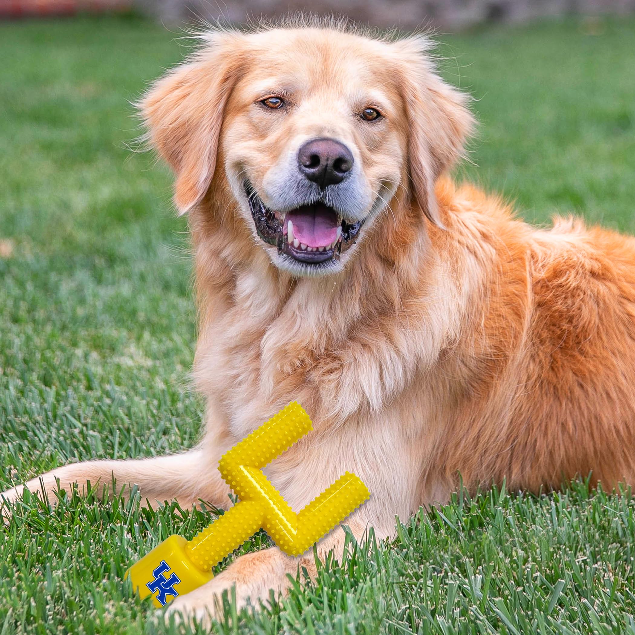 Ncaa Kentucky Wildcats Mega-Chew Hard Nylon Bacon-Flavored Dog Bone Football Goal-Post Chew Toy. Interactive, Tasty & Fun Dog Ch