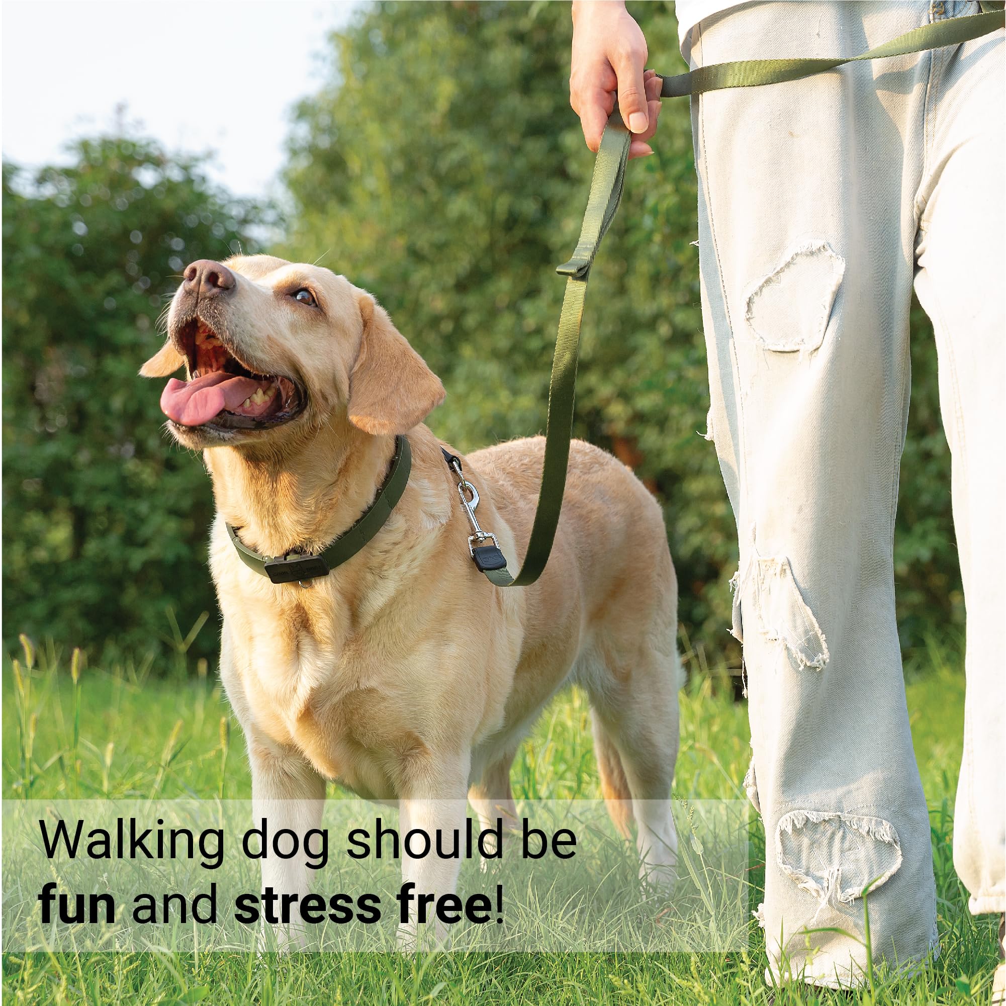 Svd.Pet Dog Prong Collar For No-Pull Training, Quick-Release Buckle Adjustable Pinch Collar For Medium Dogs (Army Green, Medium