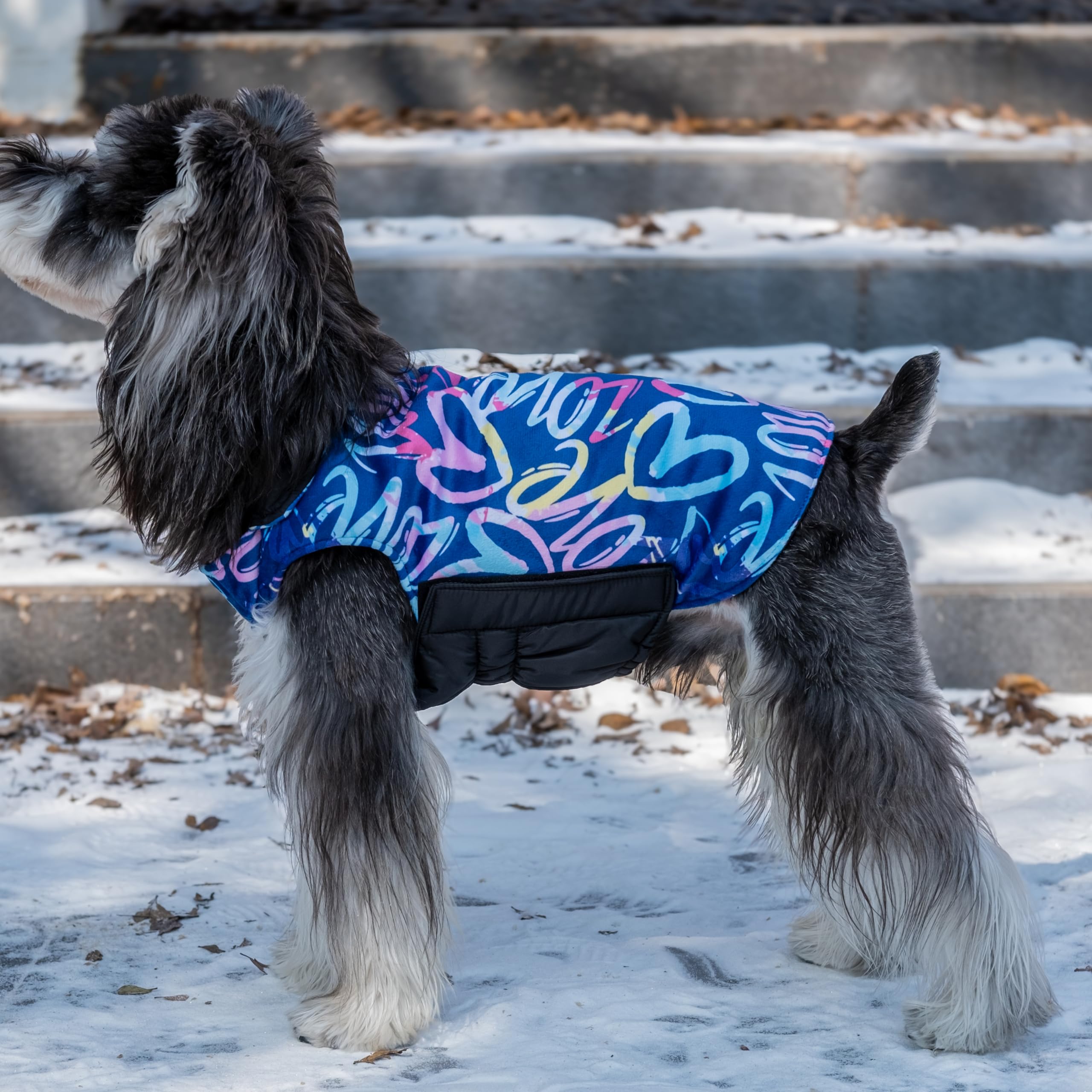 Cutebone Winter Dog Coat - Waterproof & Windproof Jacket For Small To Large Dogs - Reversible Soft Vest With Adjustable Thick Li