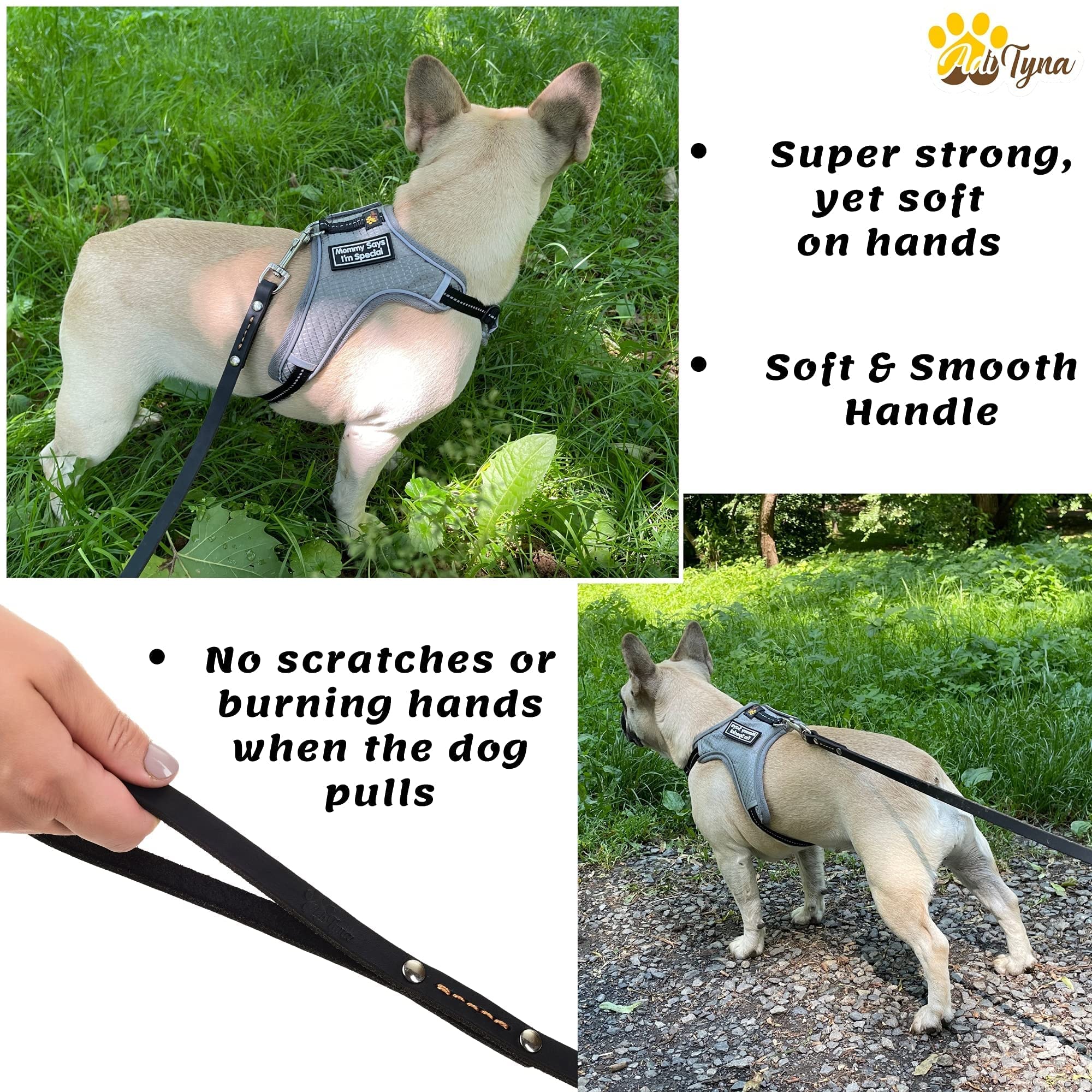 Adityna - Premium Leather Dog Leash - 6 Ft, Heavy-Duty, Soft & Strong For Small/Medium Dogs (Small: 6 Ft X 1/2', Black)