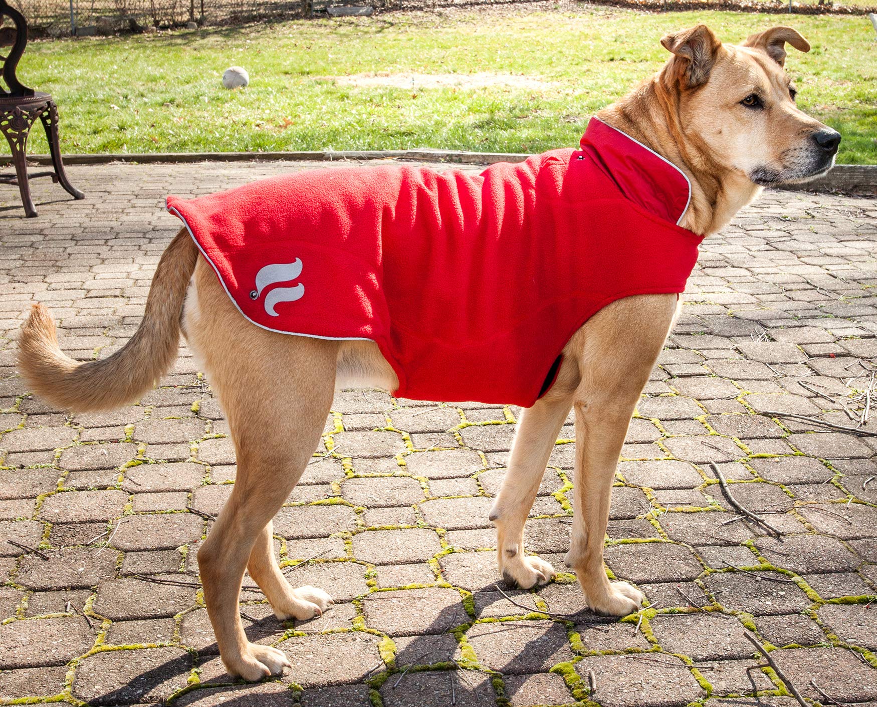 DOGHELIOS Lotus-Rusher Waterproof 2-in-1 Pet Dog Jacket Coat with Removable Polar Fleece Lining w/ Blackshark technology, Smal