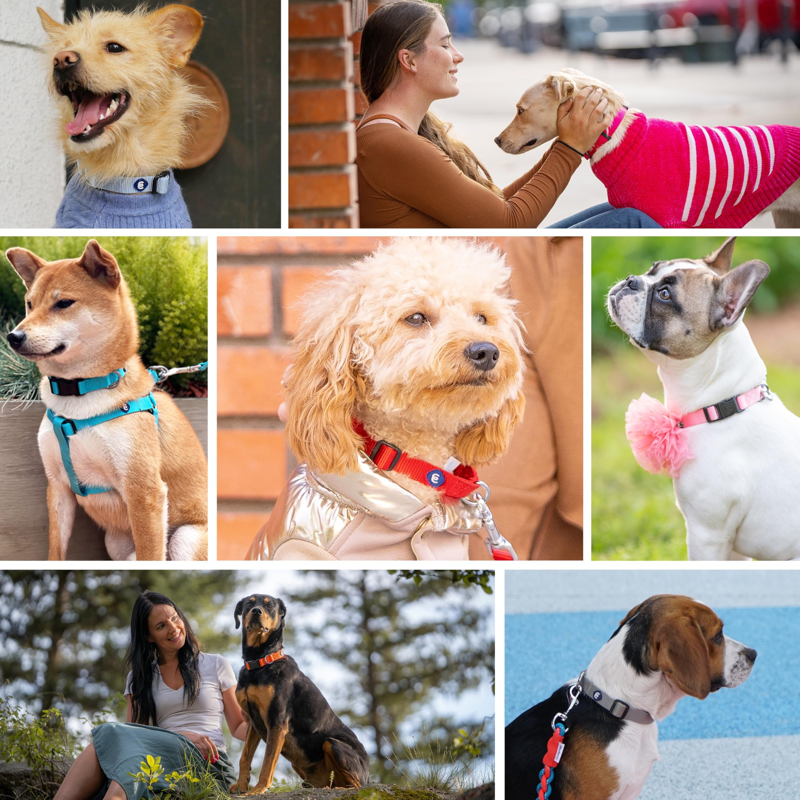 Blueberry Pet Essentials Large Dog Collar | Adjustable Nylon Dog Collar For Large Dogs | Fired Brick | Stylish Large Boy Dog Col