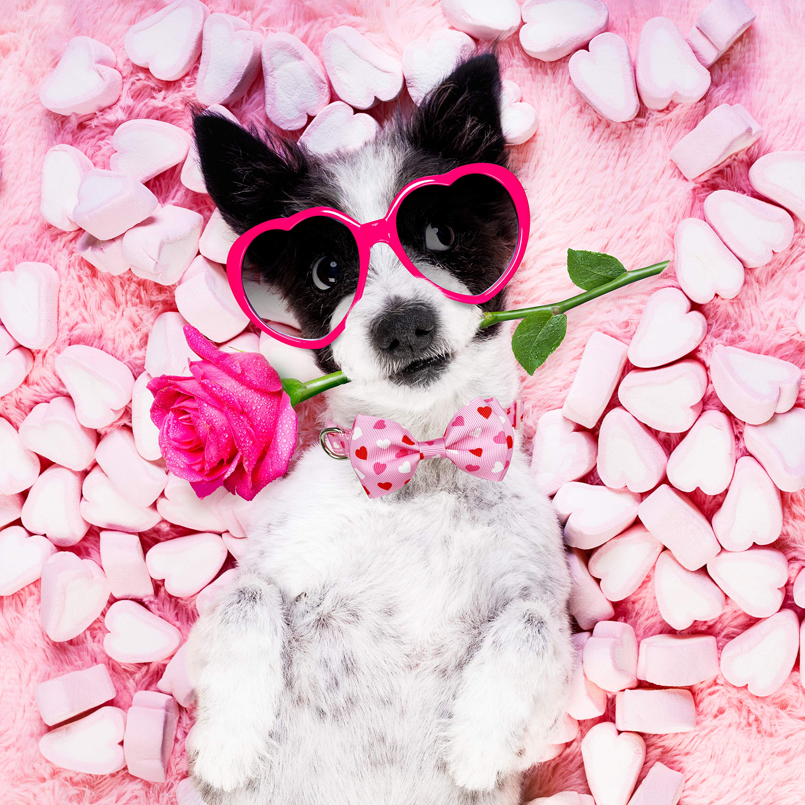 Valentine'S Day Dog Collar With Bow Tie, Holiday Cute Collar For Medium Girls Boys Dogs Puppy Pets